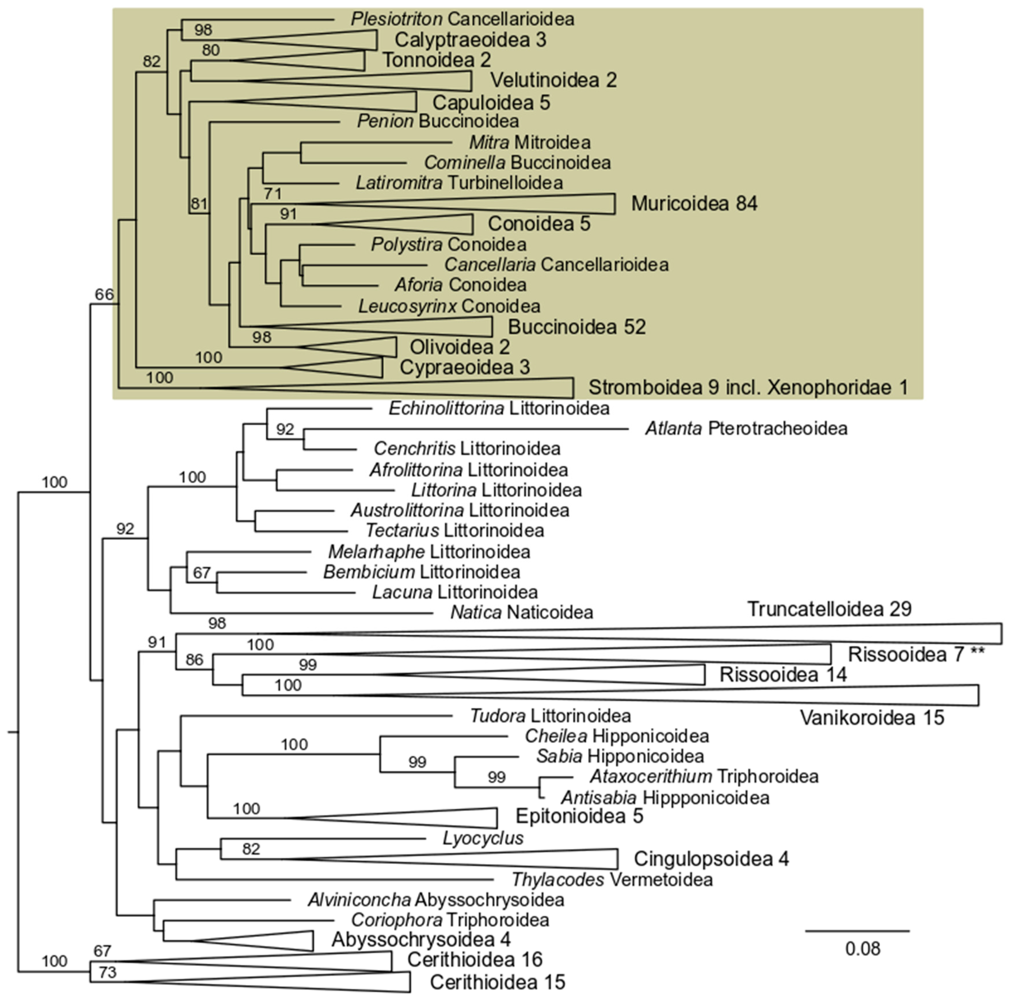 Diversity 17 00524 g003