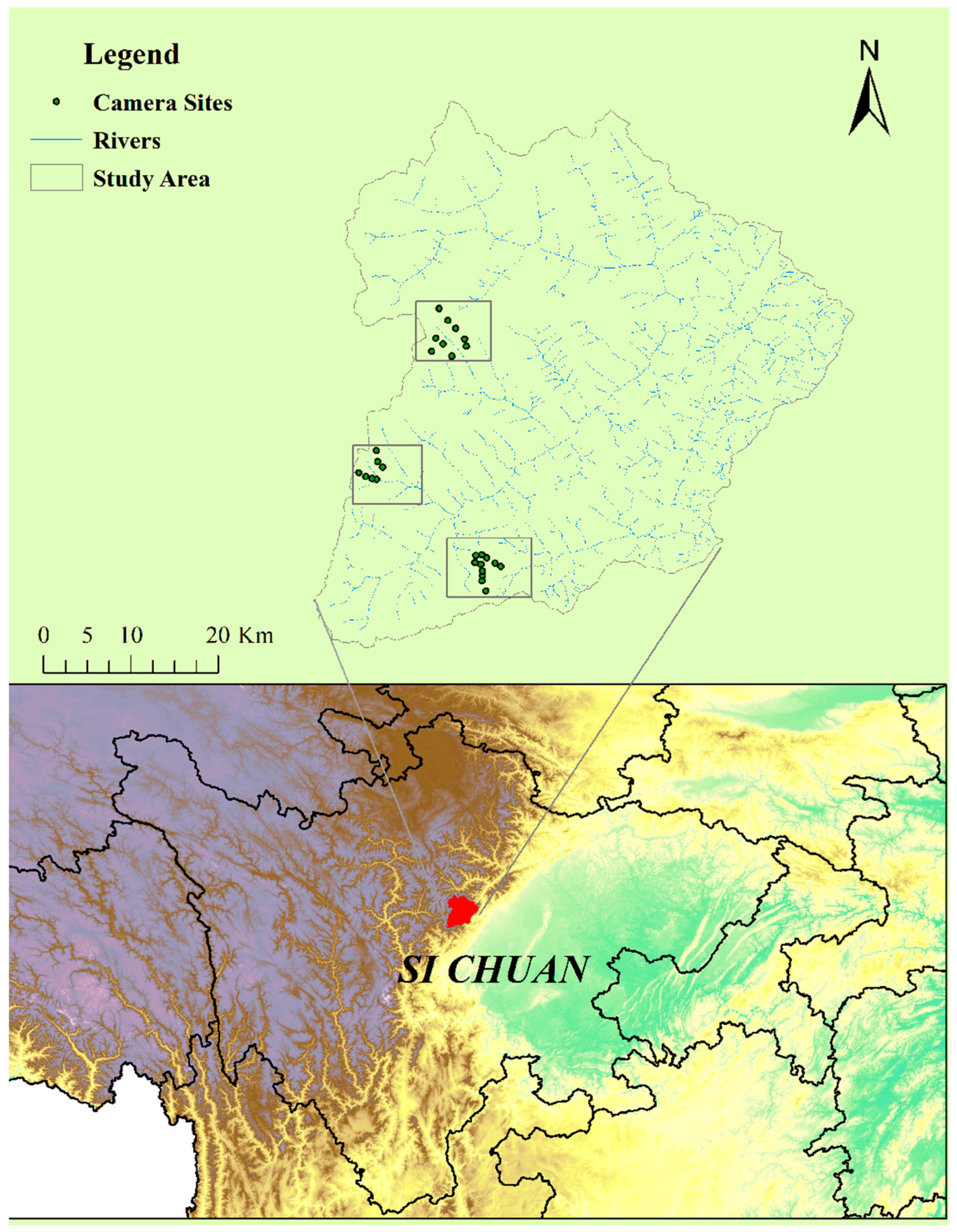 Diversity 17 00525 g001