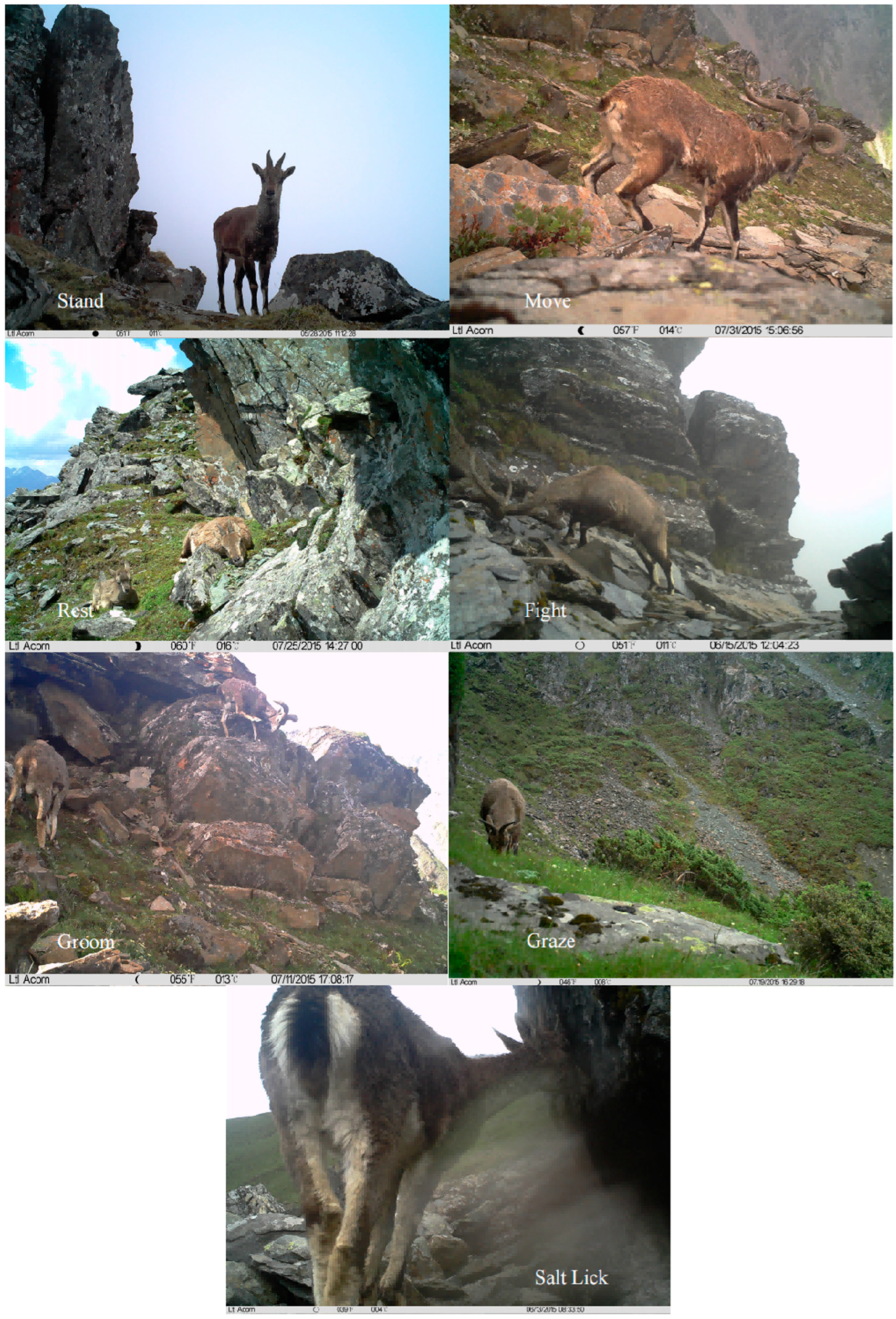 Diversity 17 00525 g002