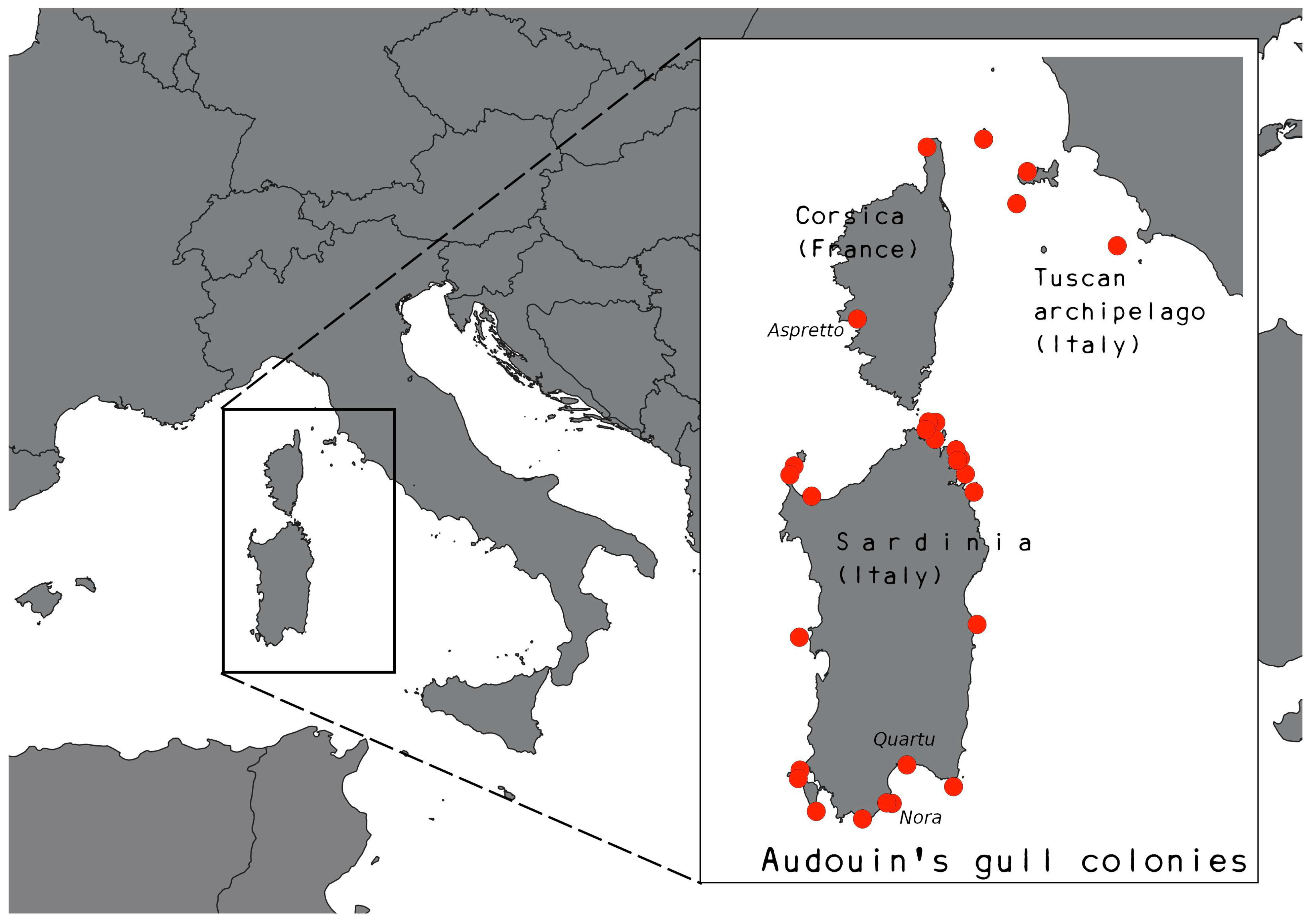 Diversity 17 00526 g002