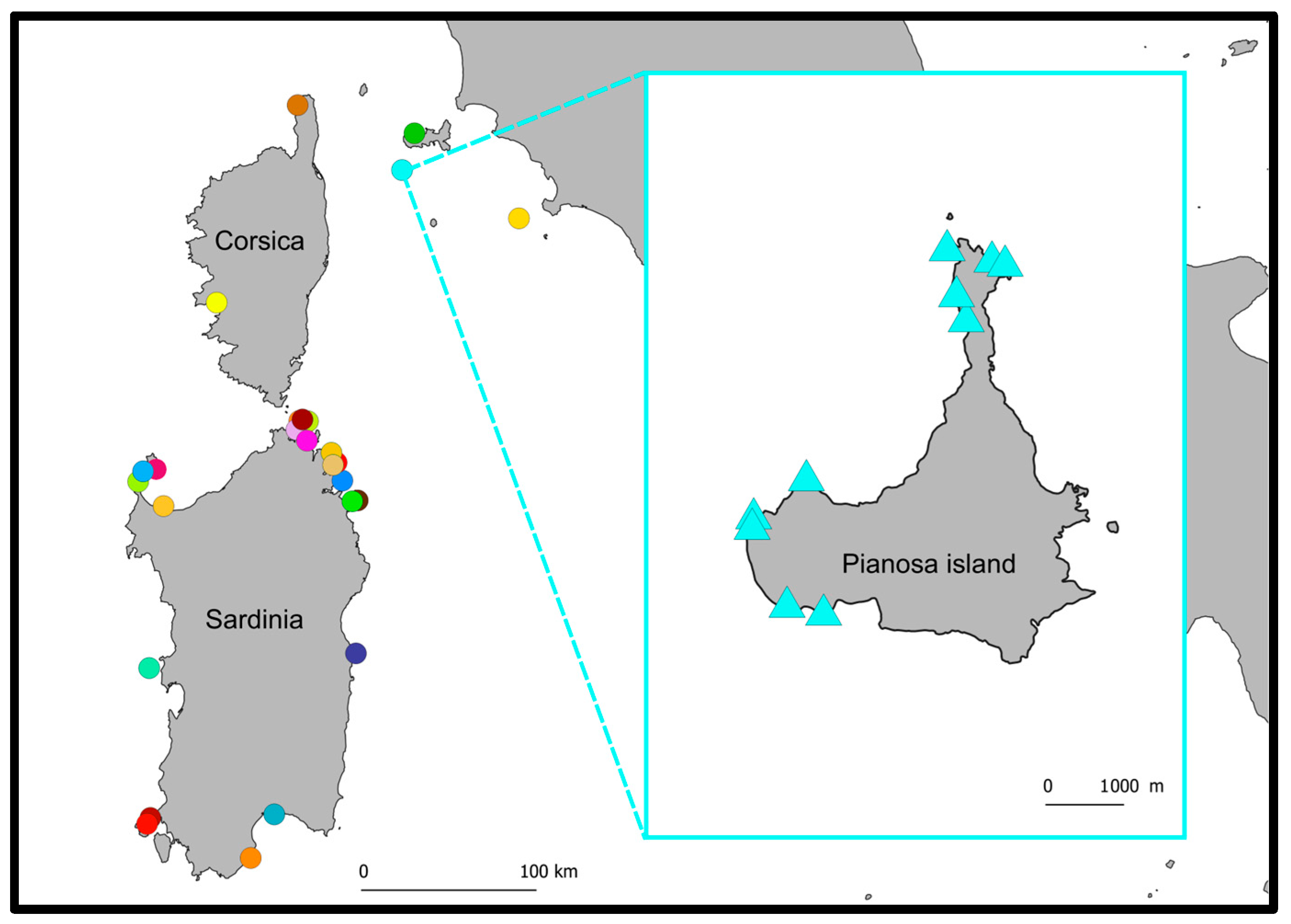 Diversity 17 00526 g004