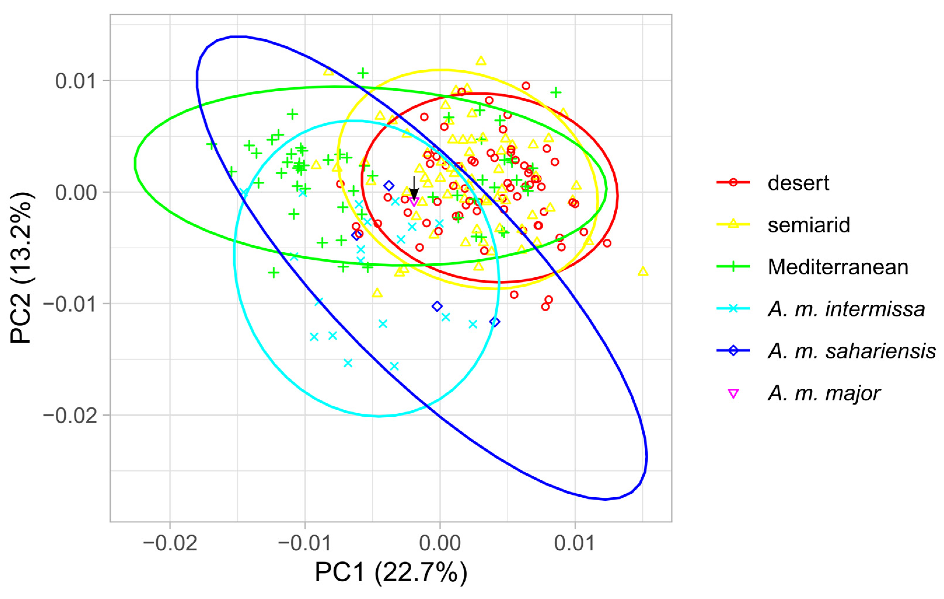 Diversity 17 00527 g005 Diversity 17 00527 g005