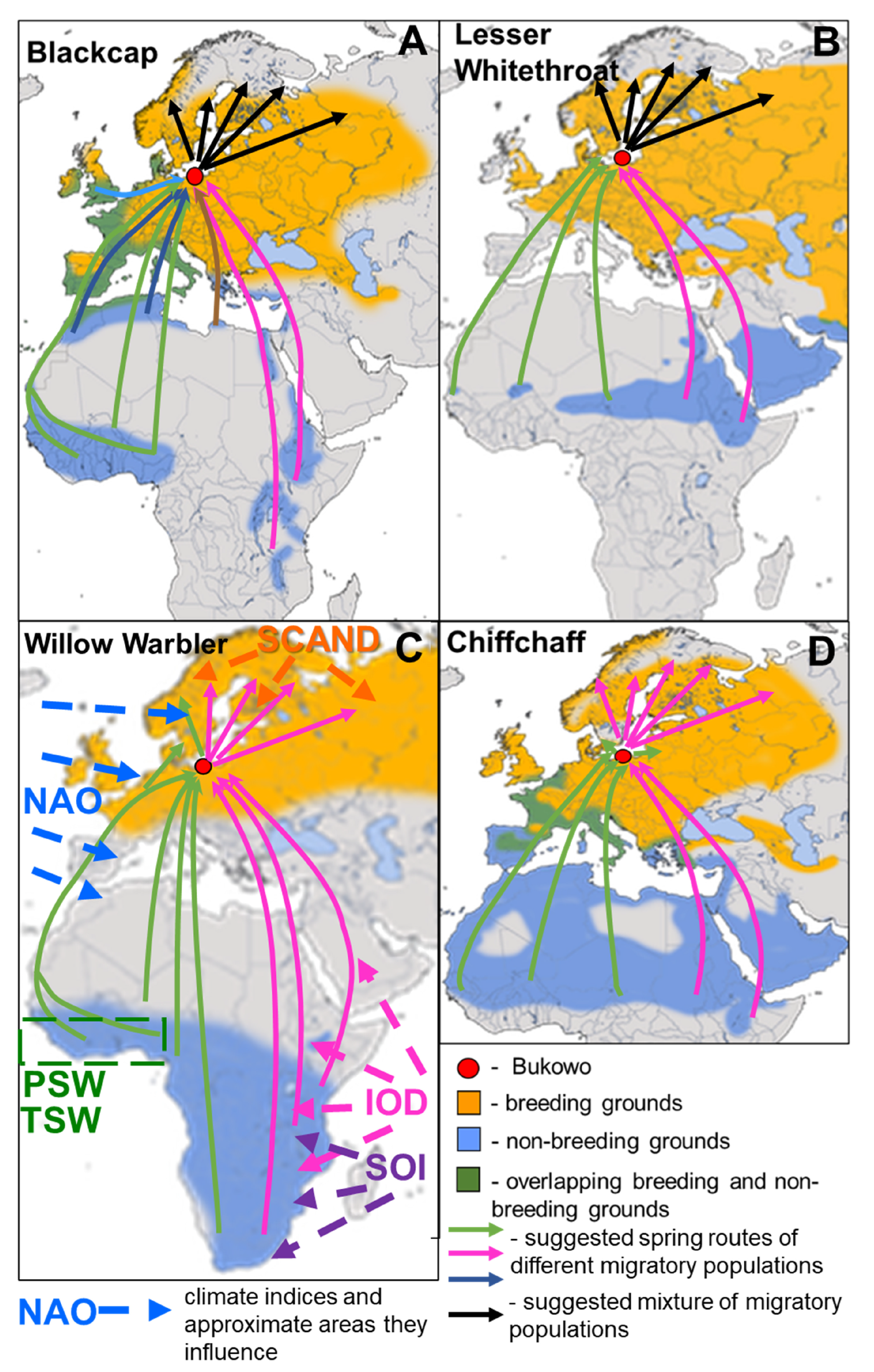 Diversity 17 00528 g001