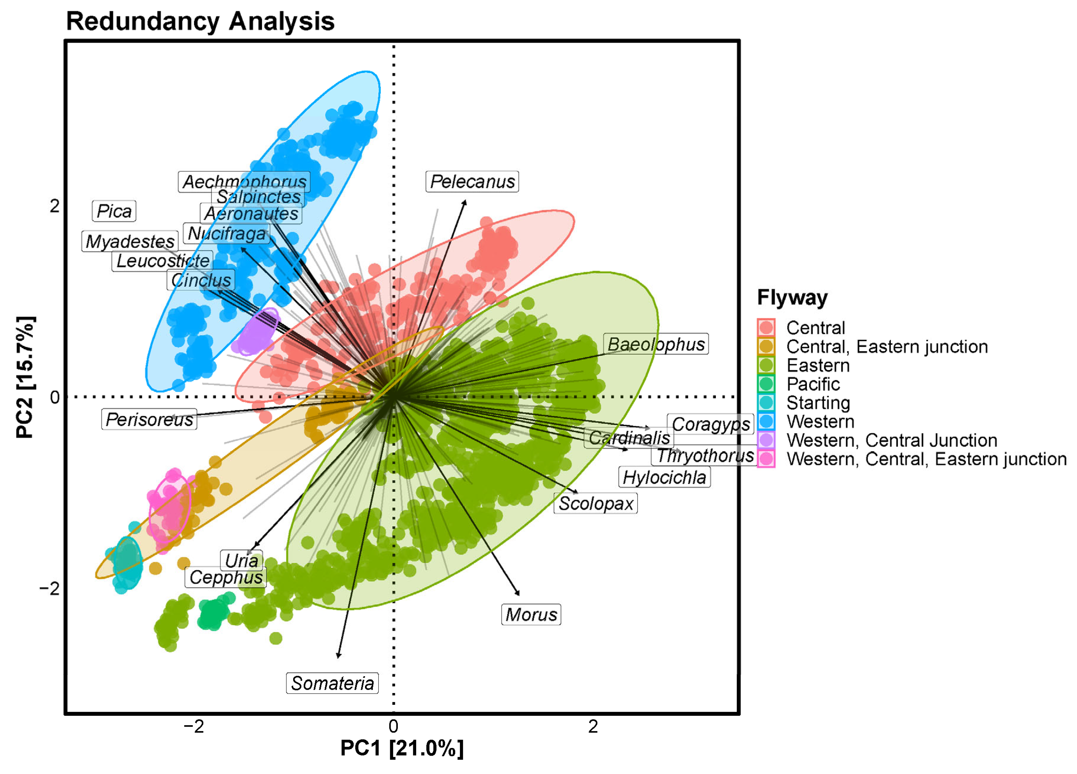 Diversity 17 00529 g004