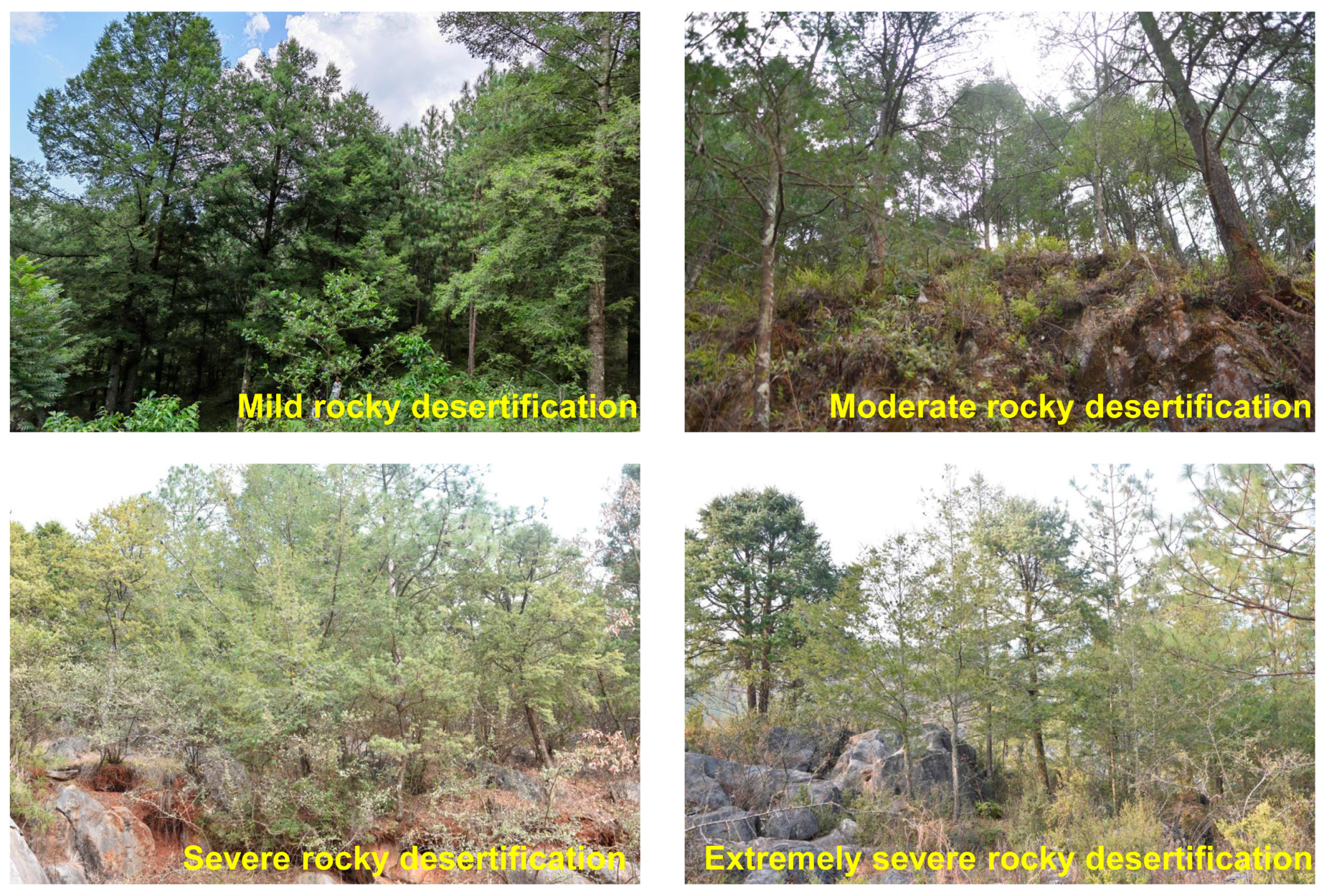 Diversity 17 00533 g001