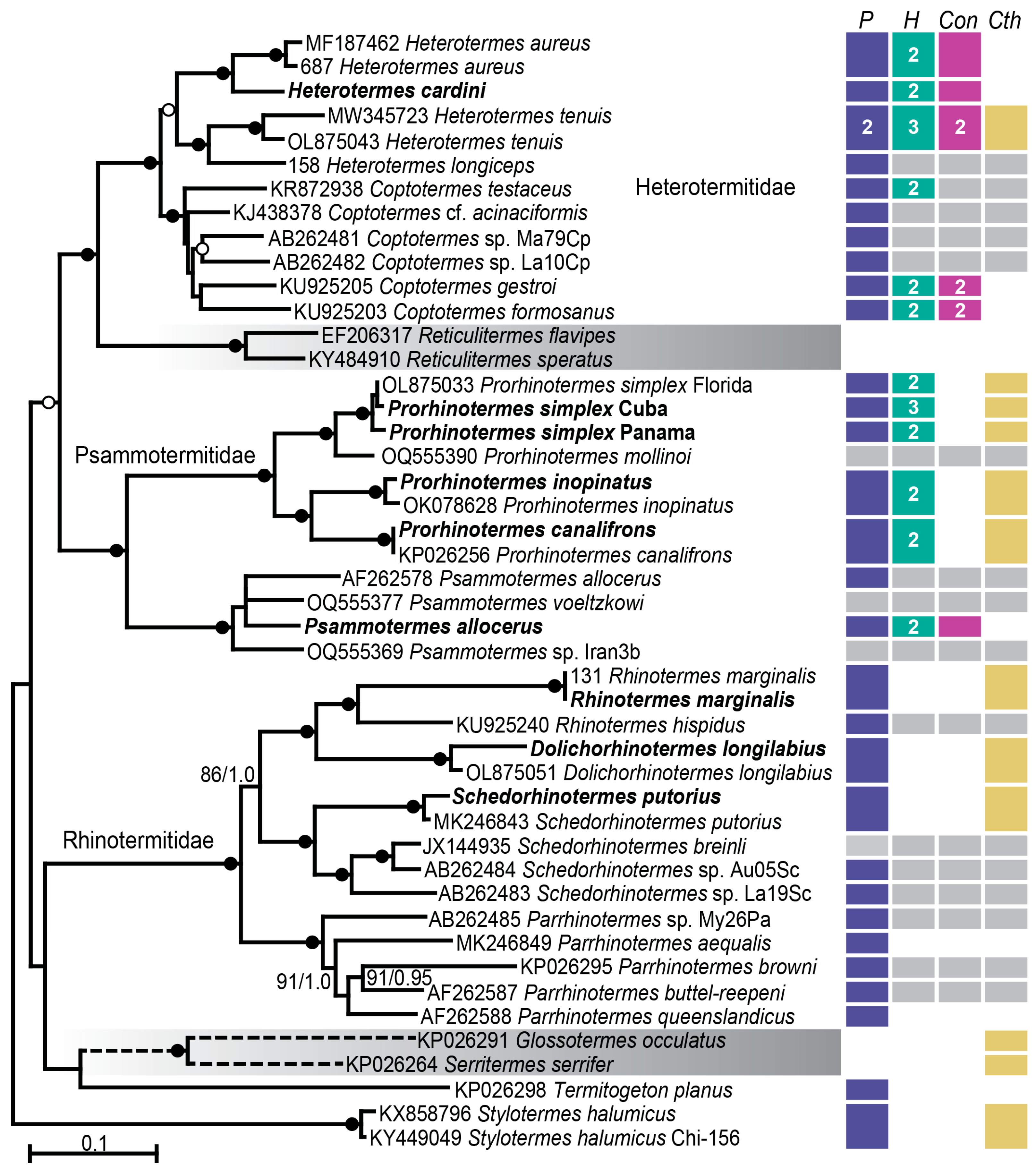 Diversity 17 00537 g001 Diversity 17 00537 g001