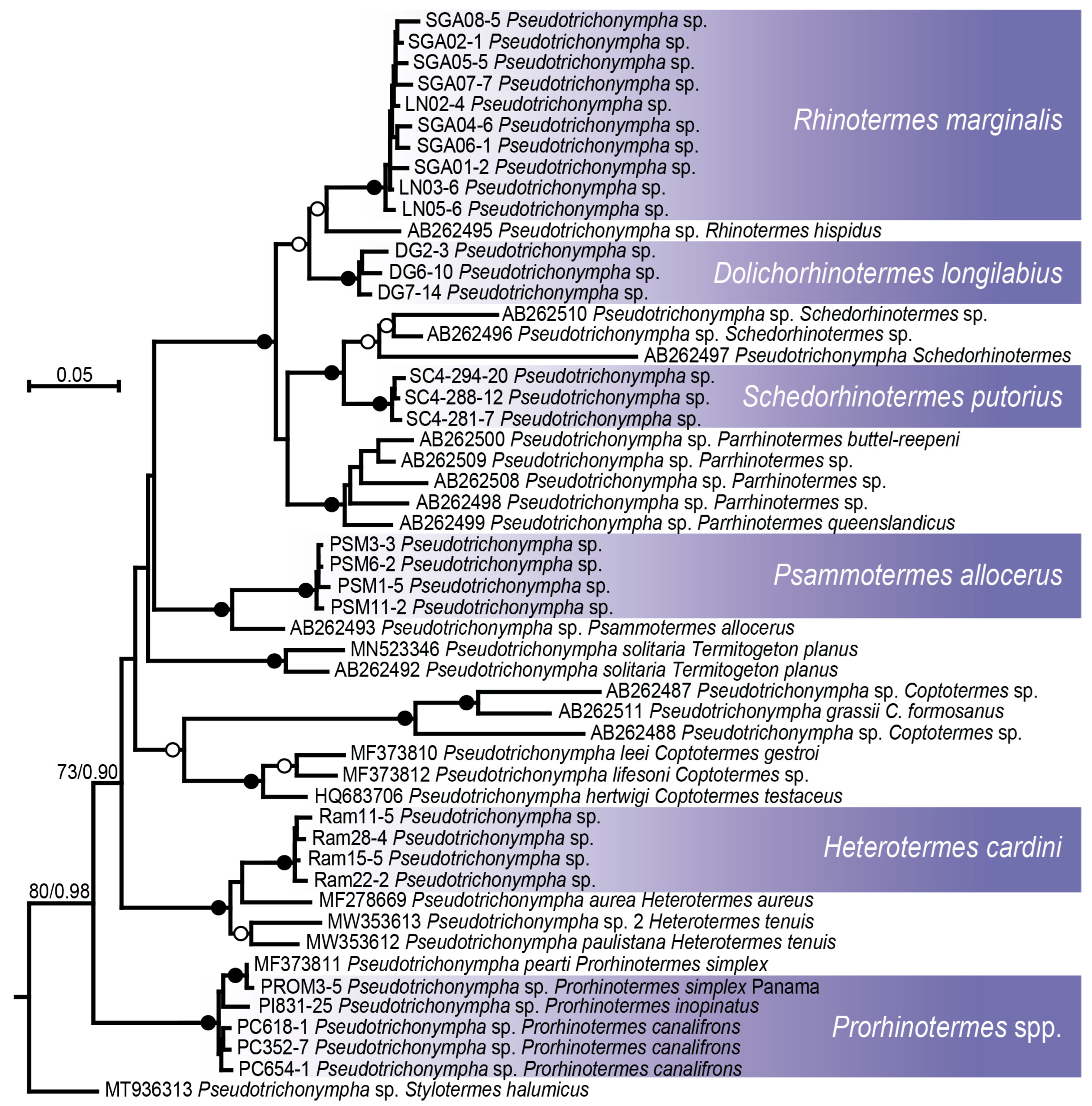 Diversity 17 00537 g003 Diversity 17 00537 g003