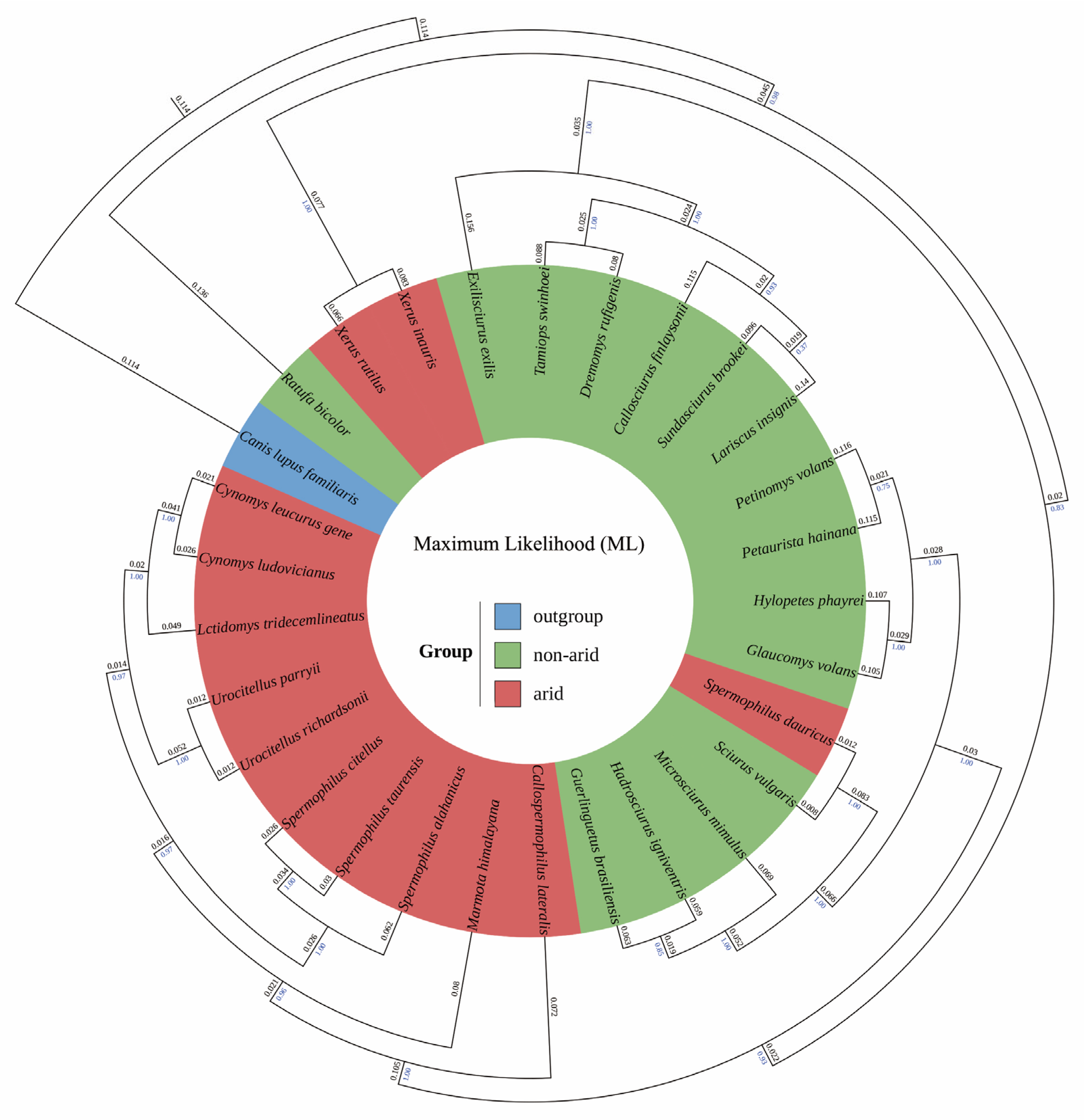 Diversity 17 00538 g004 Diversity 17 00538 g004
