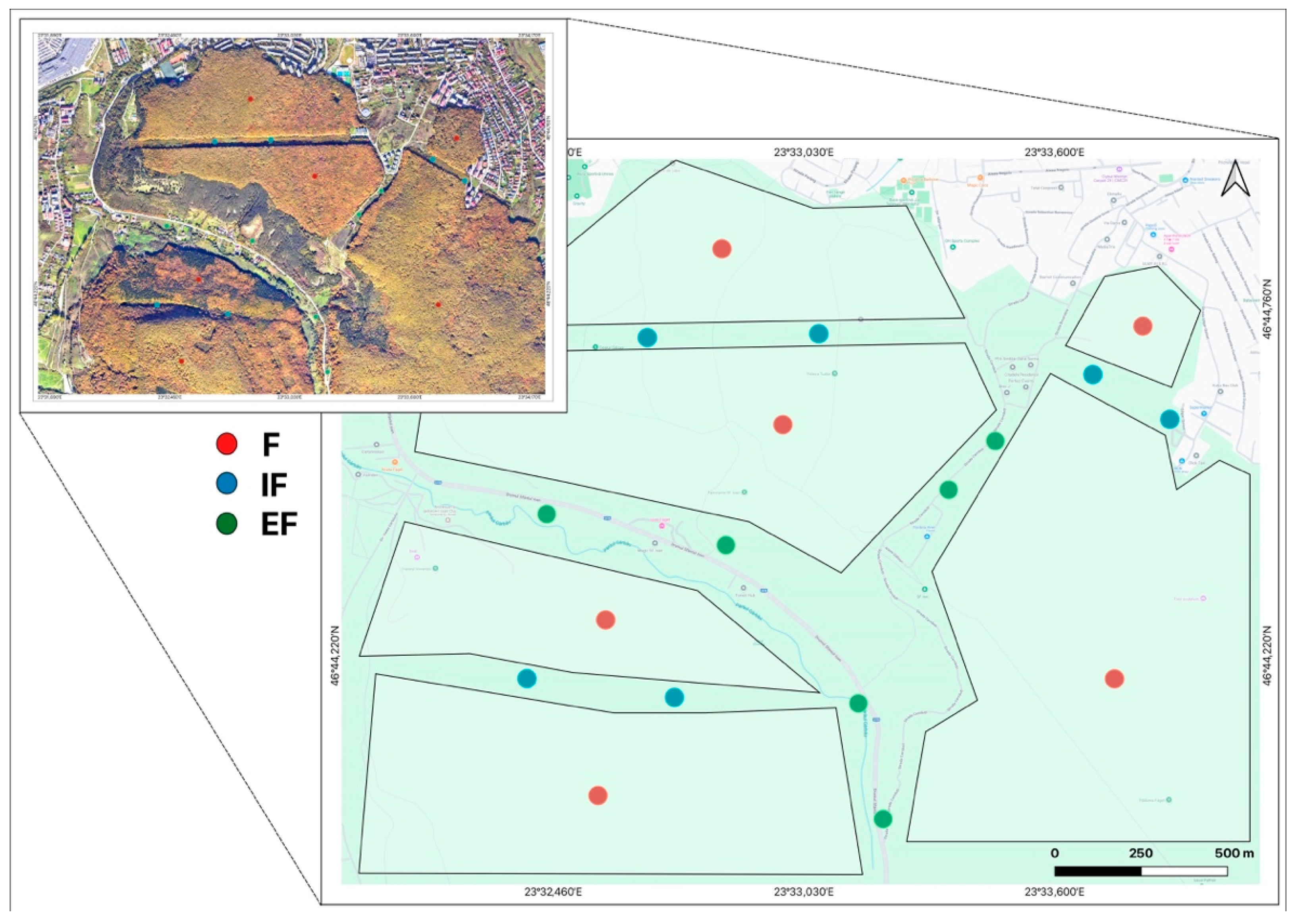Diversity 17 00545 g001
