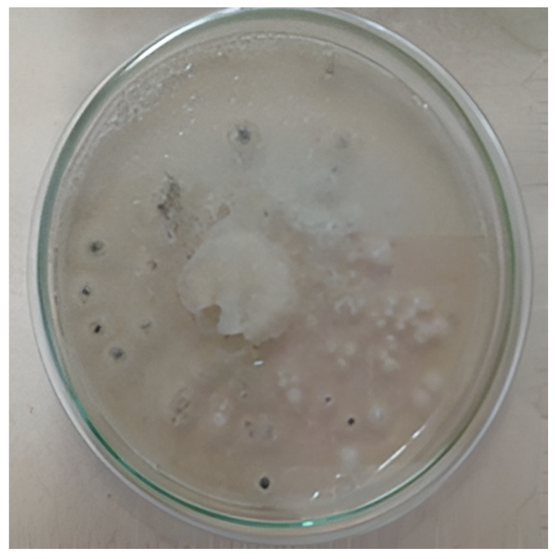 Diversity 17 00546 g007 Diversity 17 00546 g007