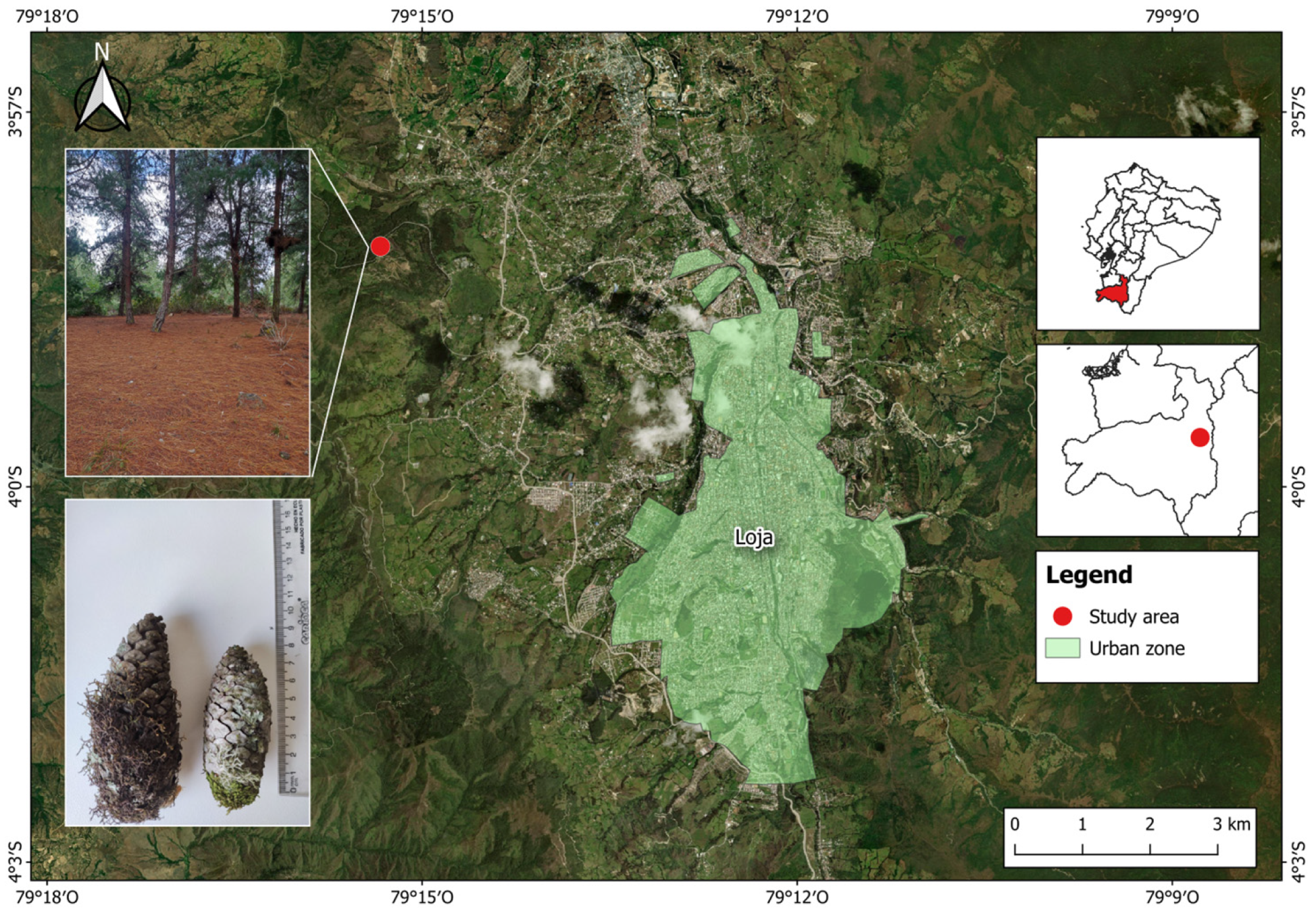 Diversity 17 00548 g001