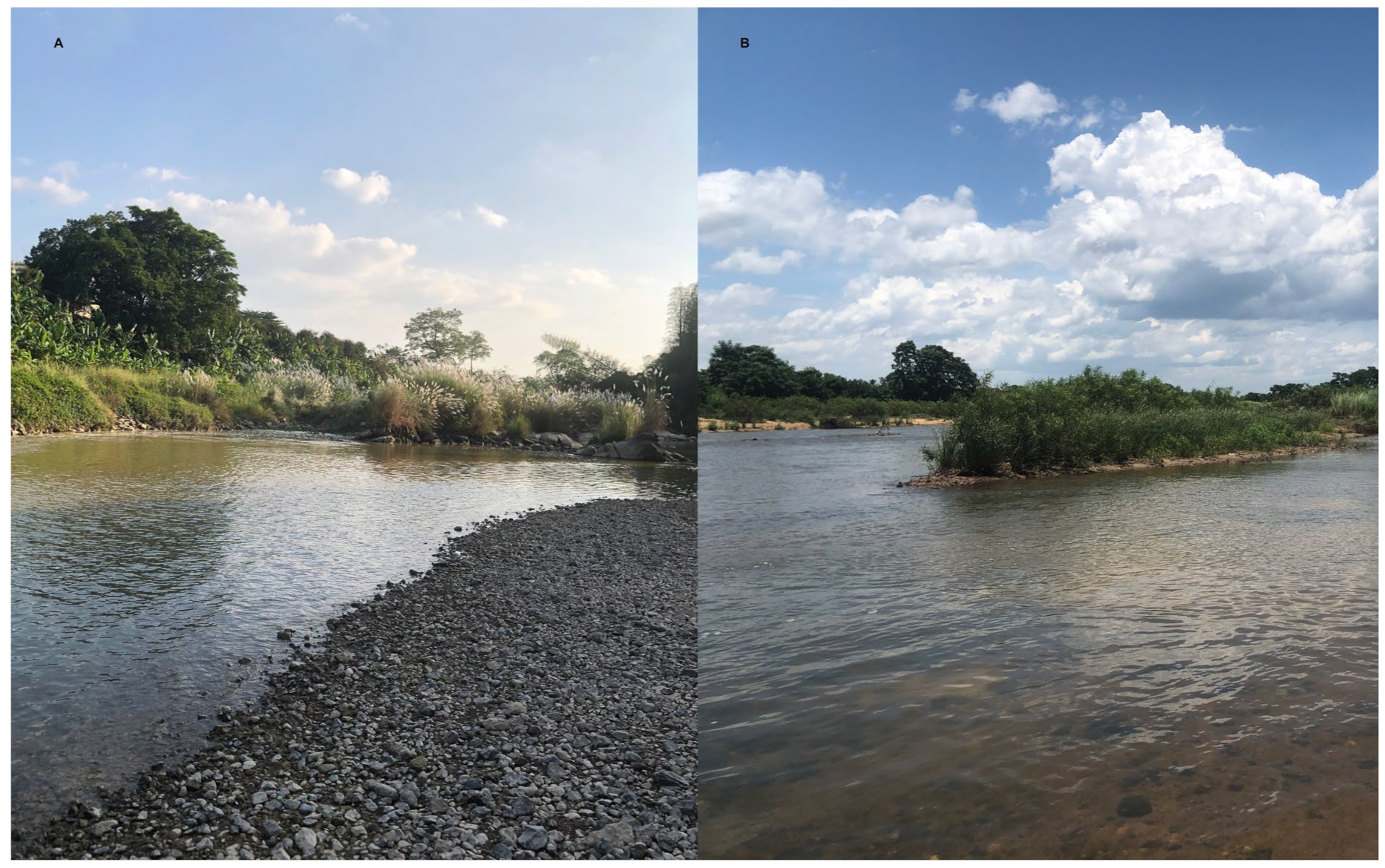 Diversity 17 00549 g008