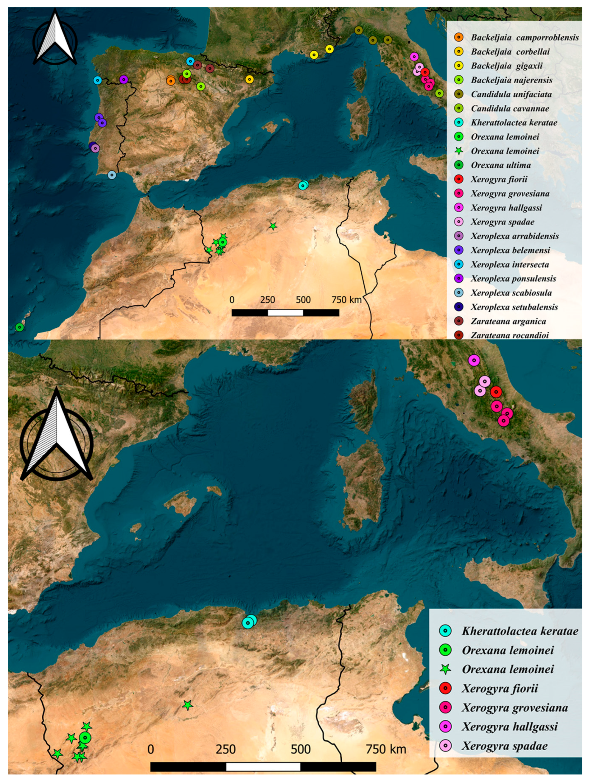 Diversity 17 00550 g001 Diversity 17 00550 g001