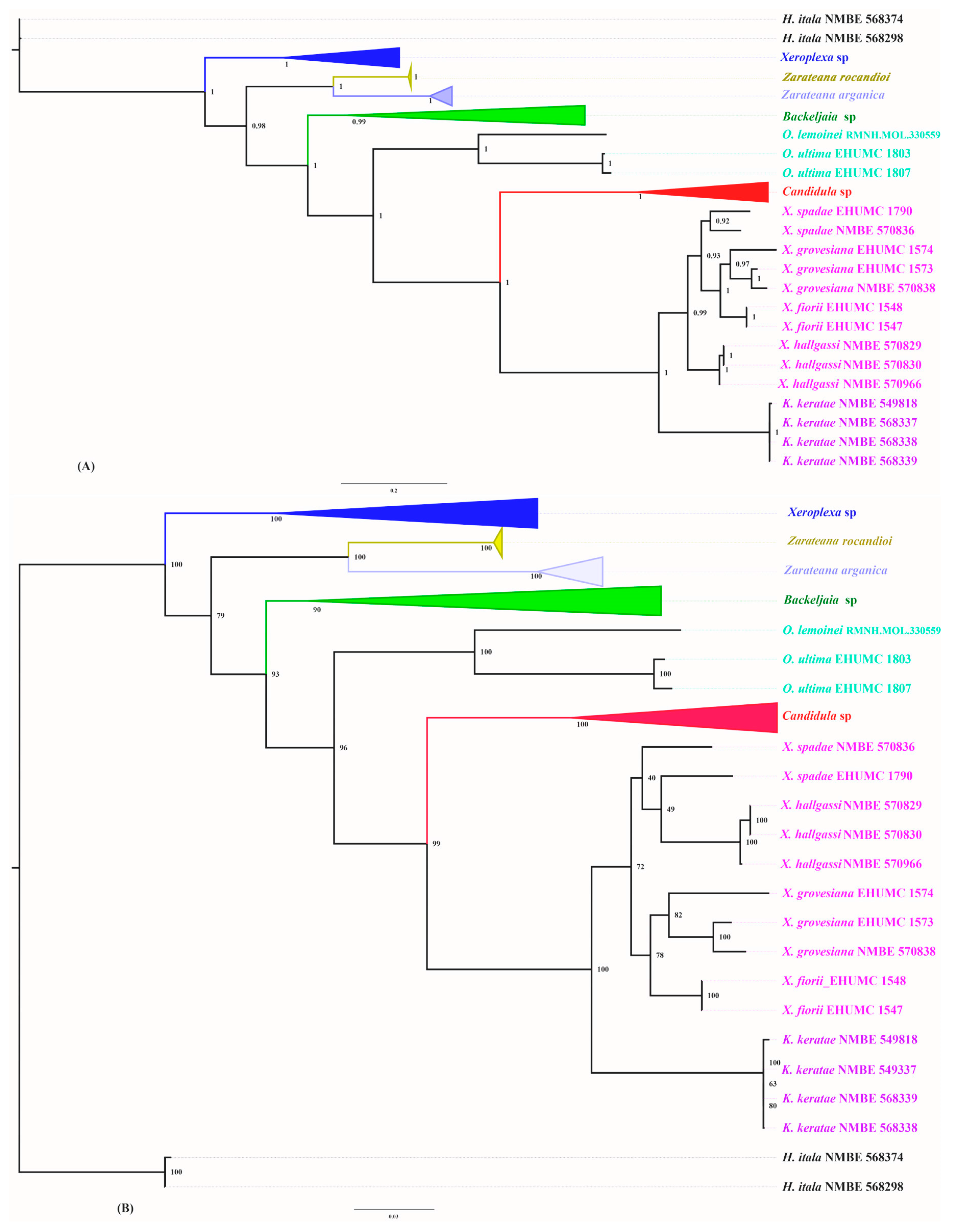 Diversity 17 00550 g002 Diversity 17 00550 g002