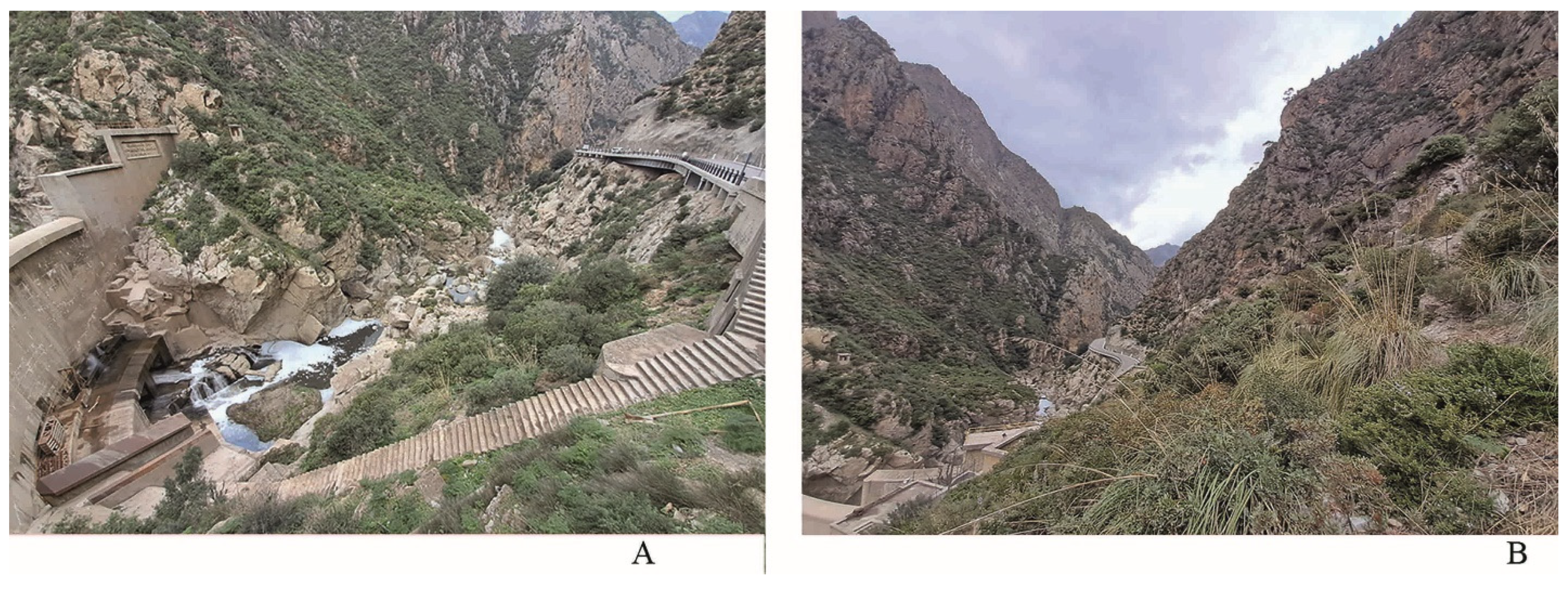 Diversity 17 00550 g006 Diversity 17 00550 g006