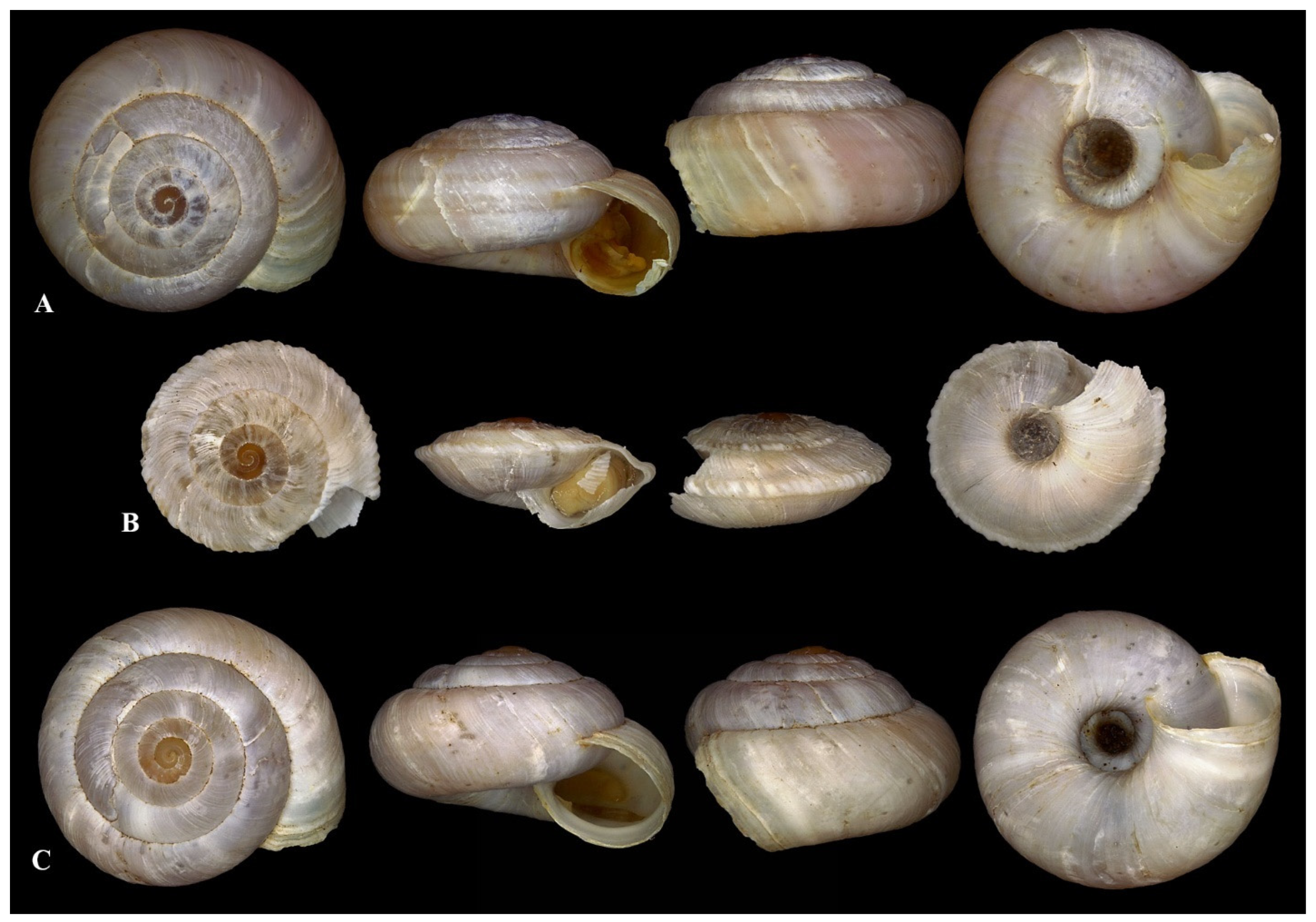 Diversity 17 00550 g007 Diversity 17 00550 g007