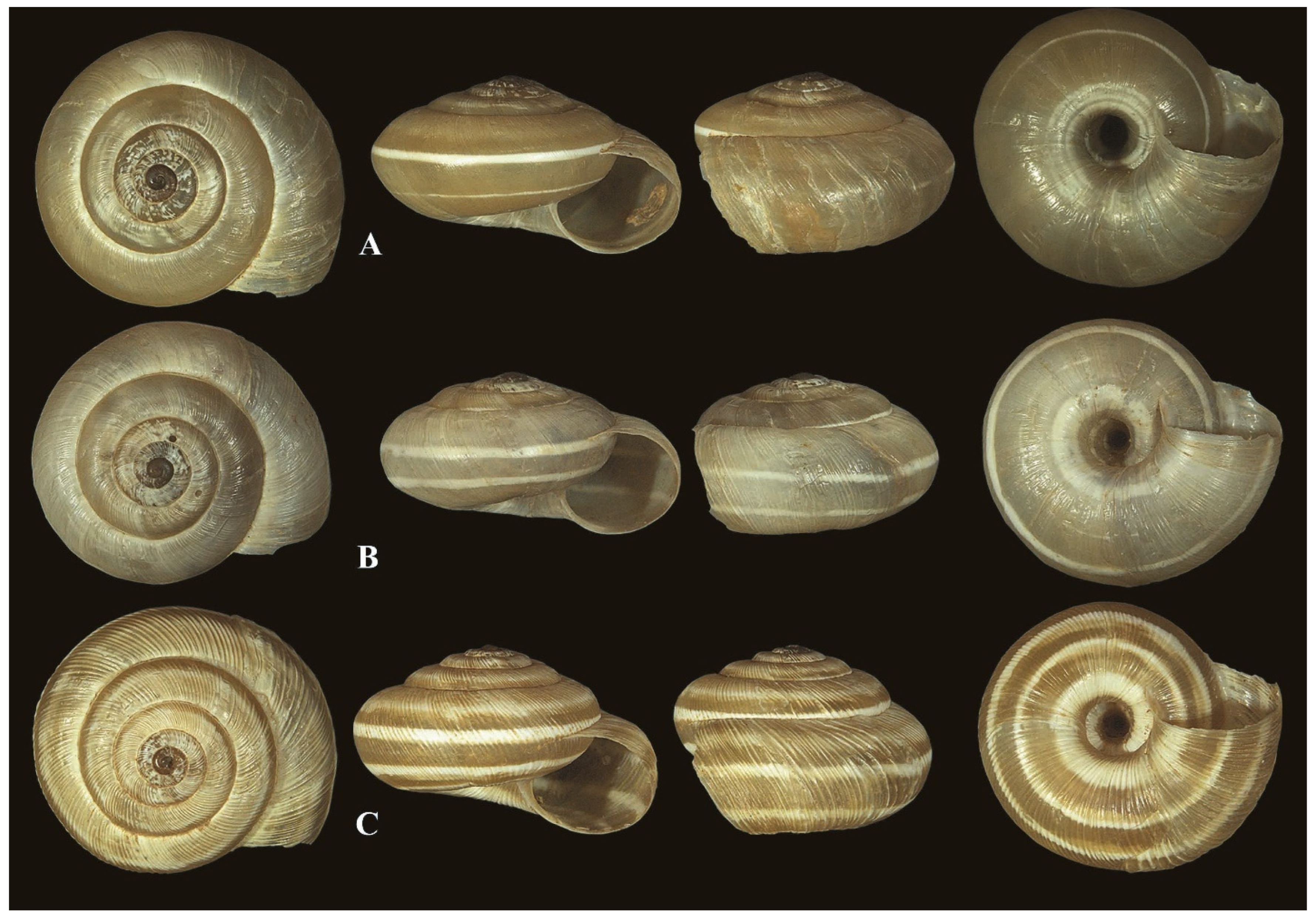 Diversity 17 00550 g013 Diversity 17 00550 g013