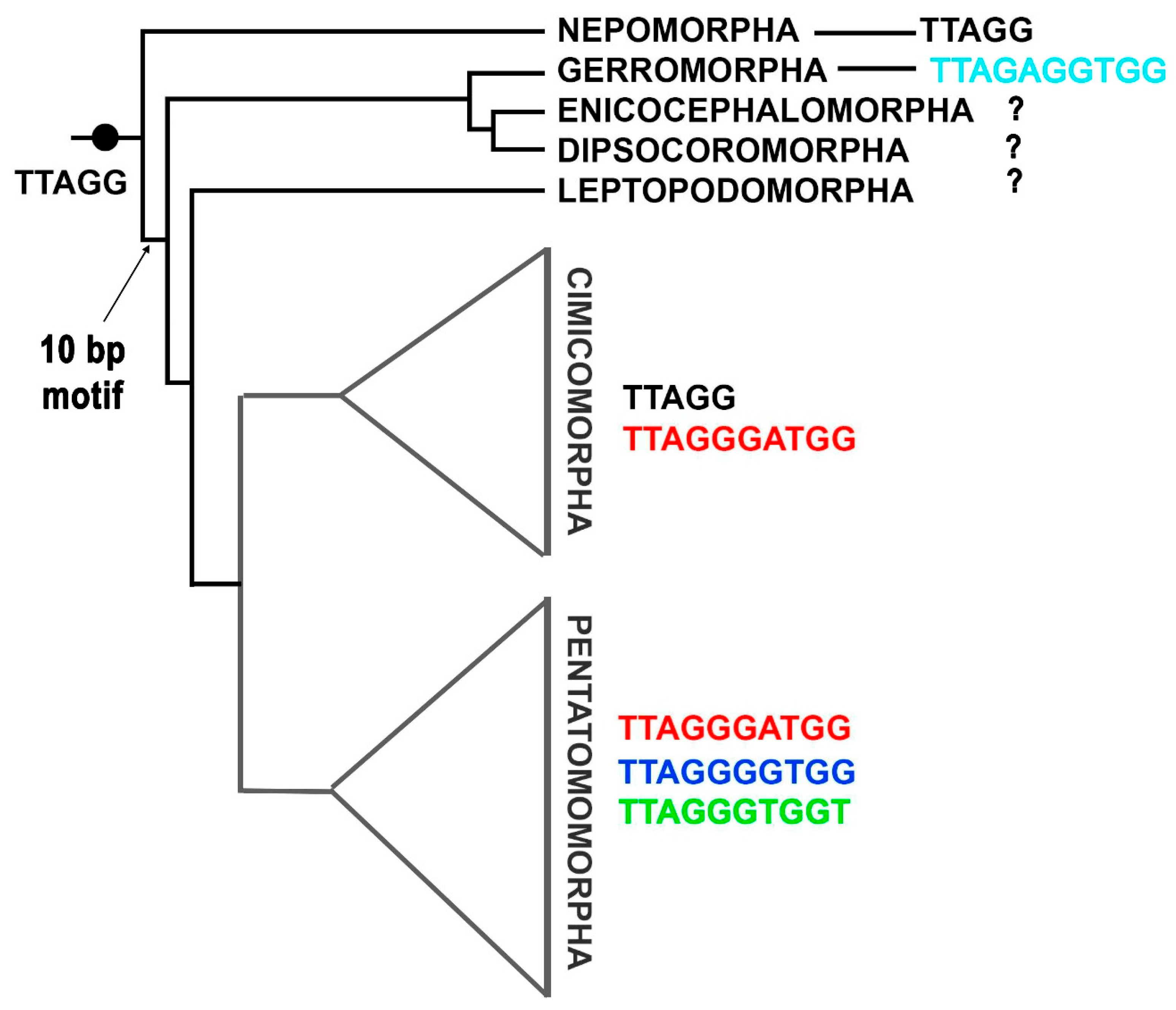 Diversity 17 00552 g001