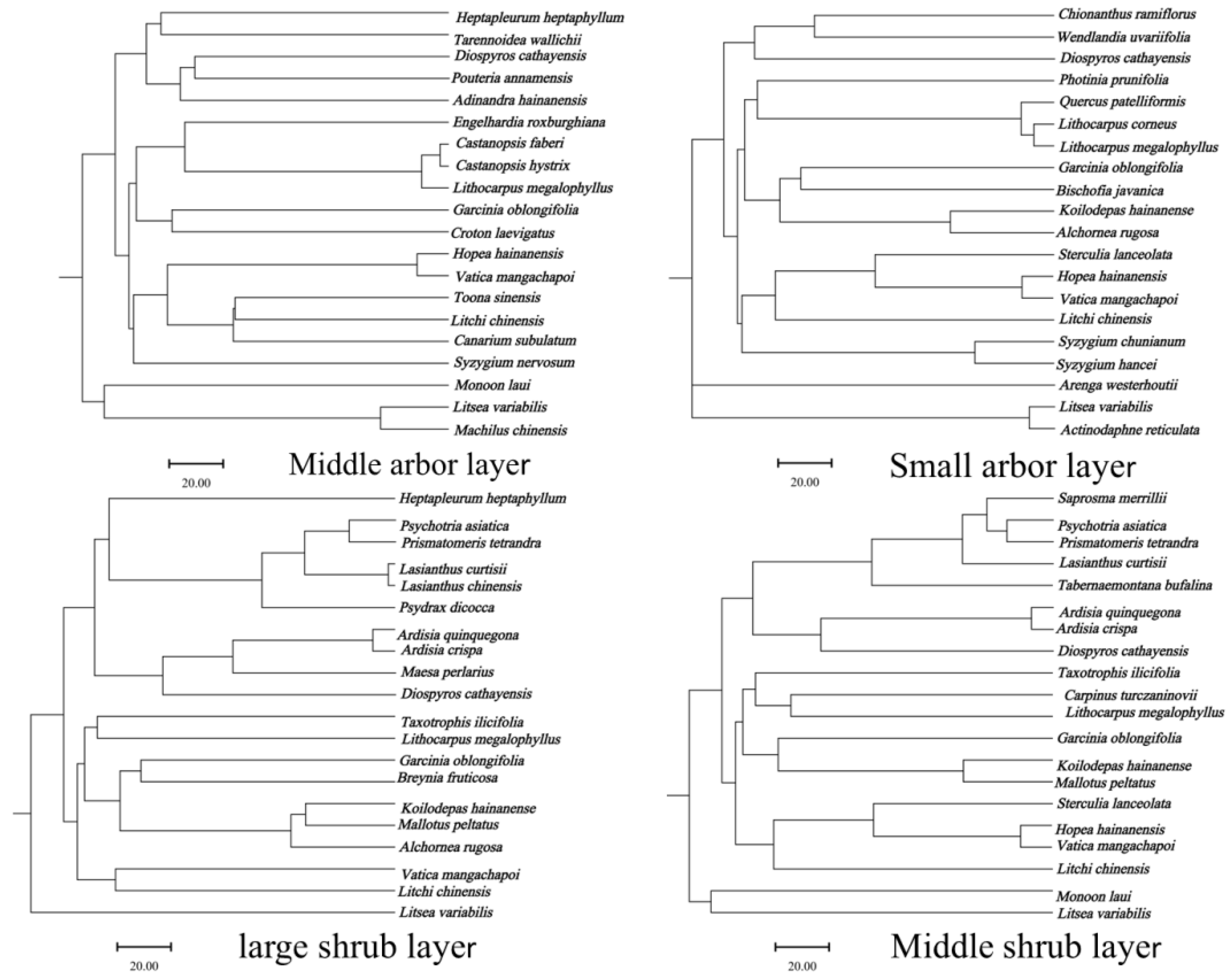 Diversity 17 00556 g0a1