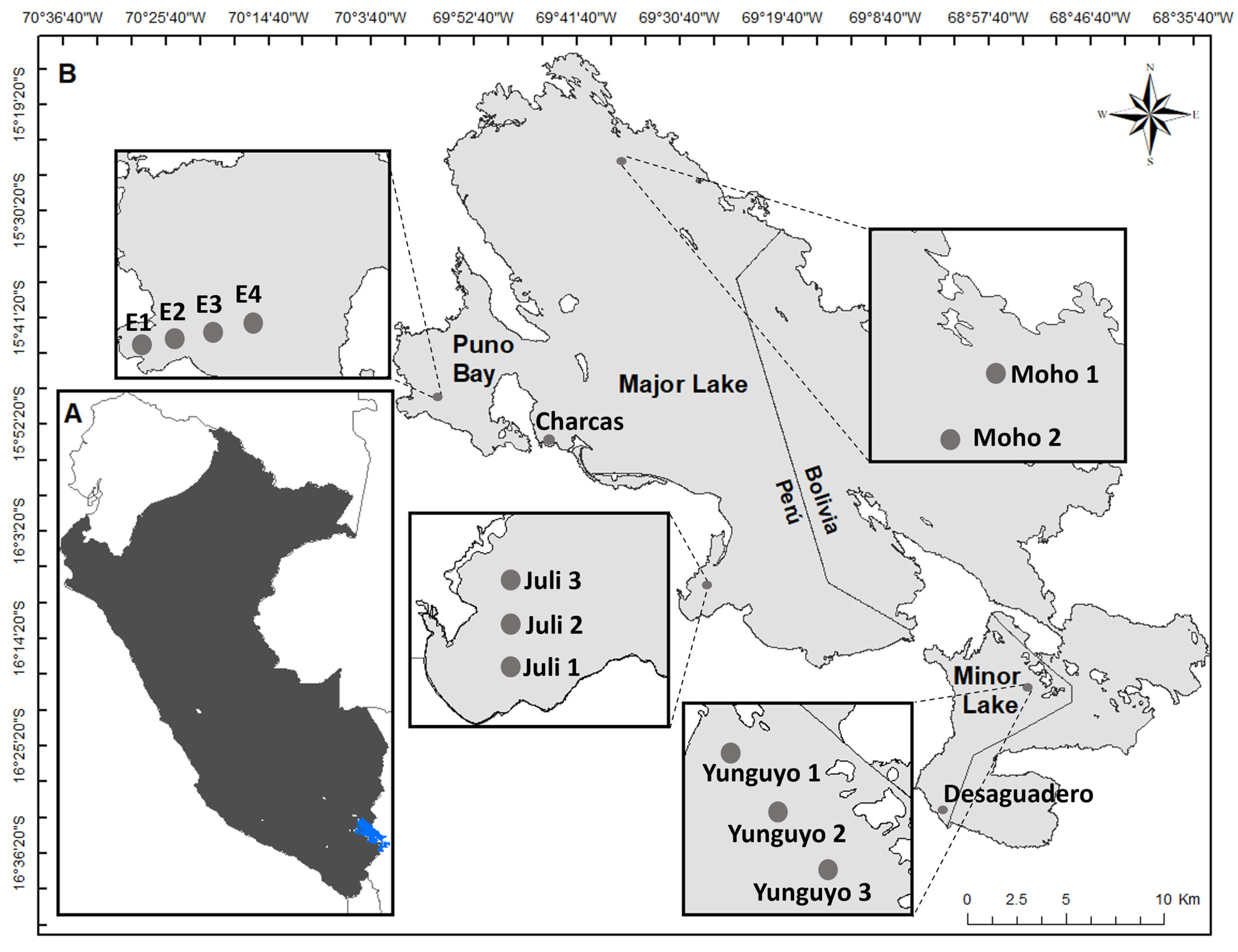 Diversity 17 00560 g001 Diversity 17 00560 g001