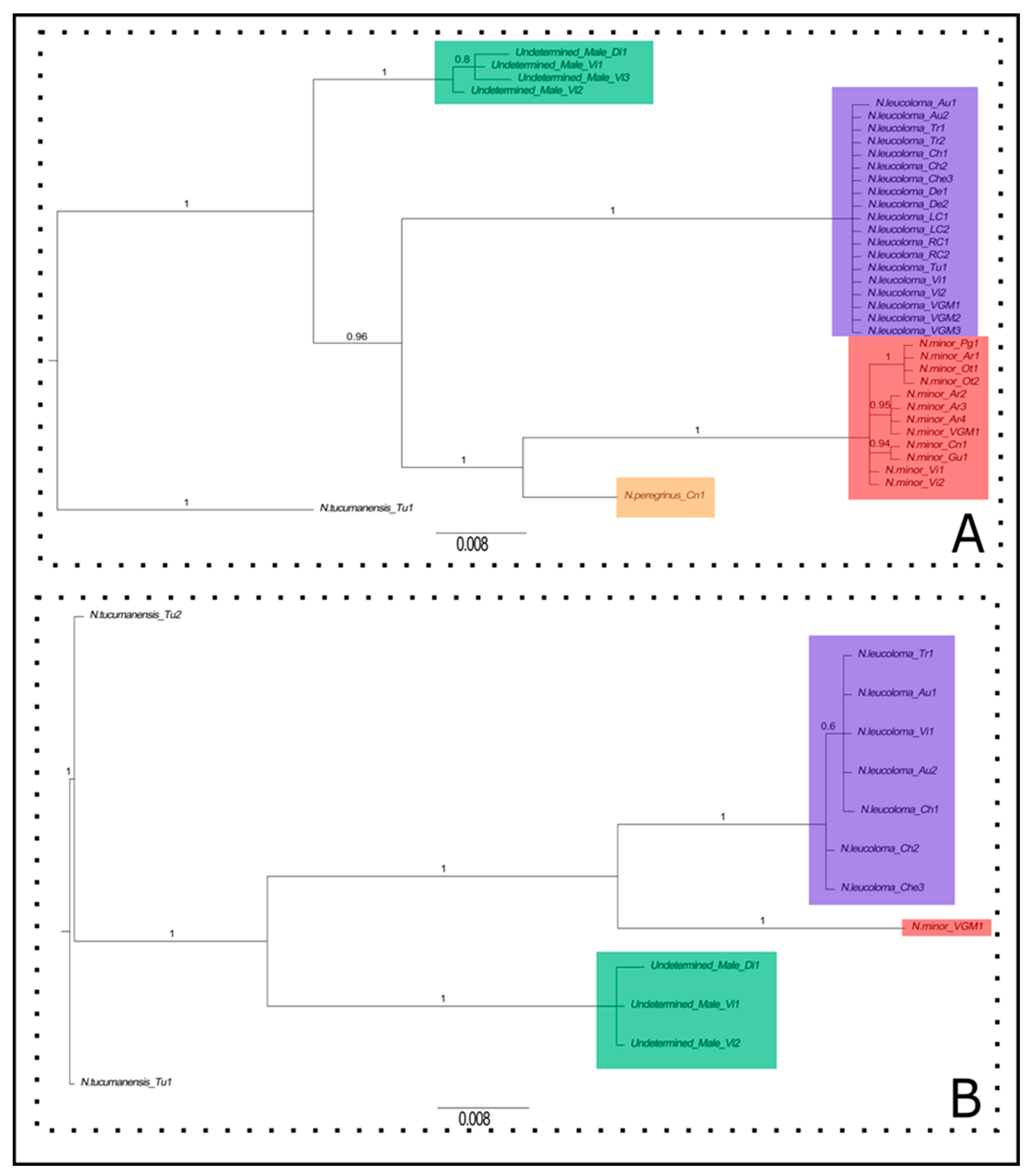 Diversity 17 00561 g001 Diversity 17 00561 g001