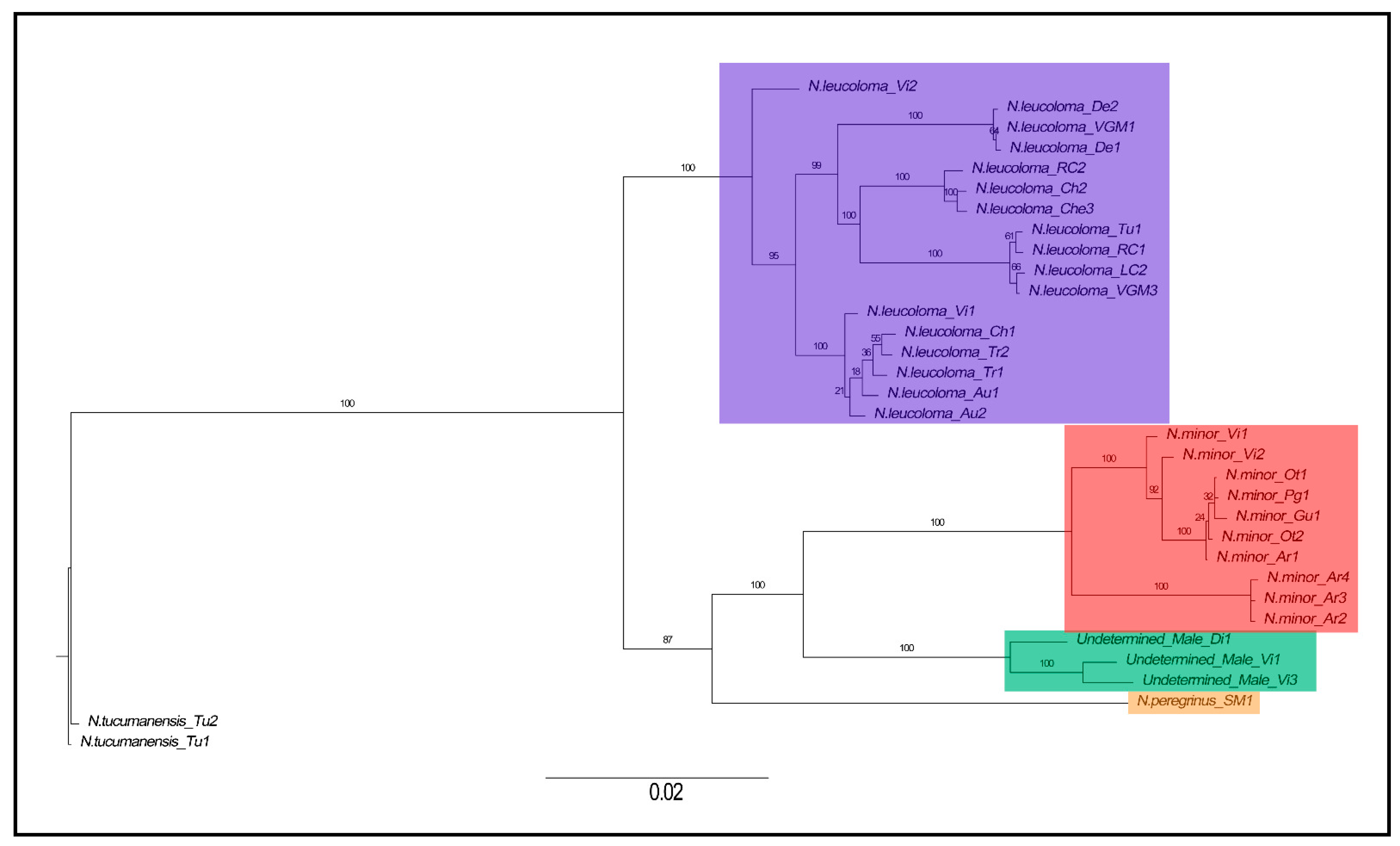 Diversity 17 00561 g002 Diversity 17 00561 g002