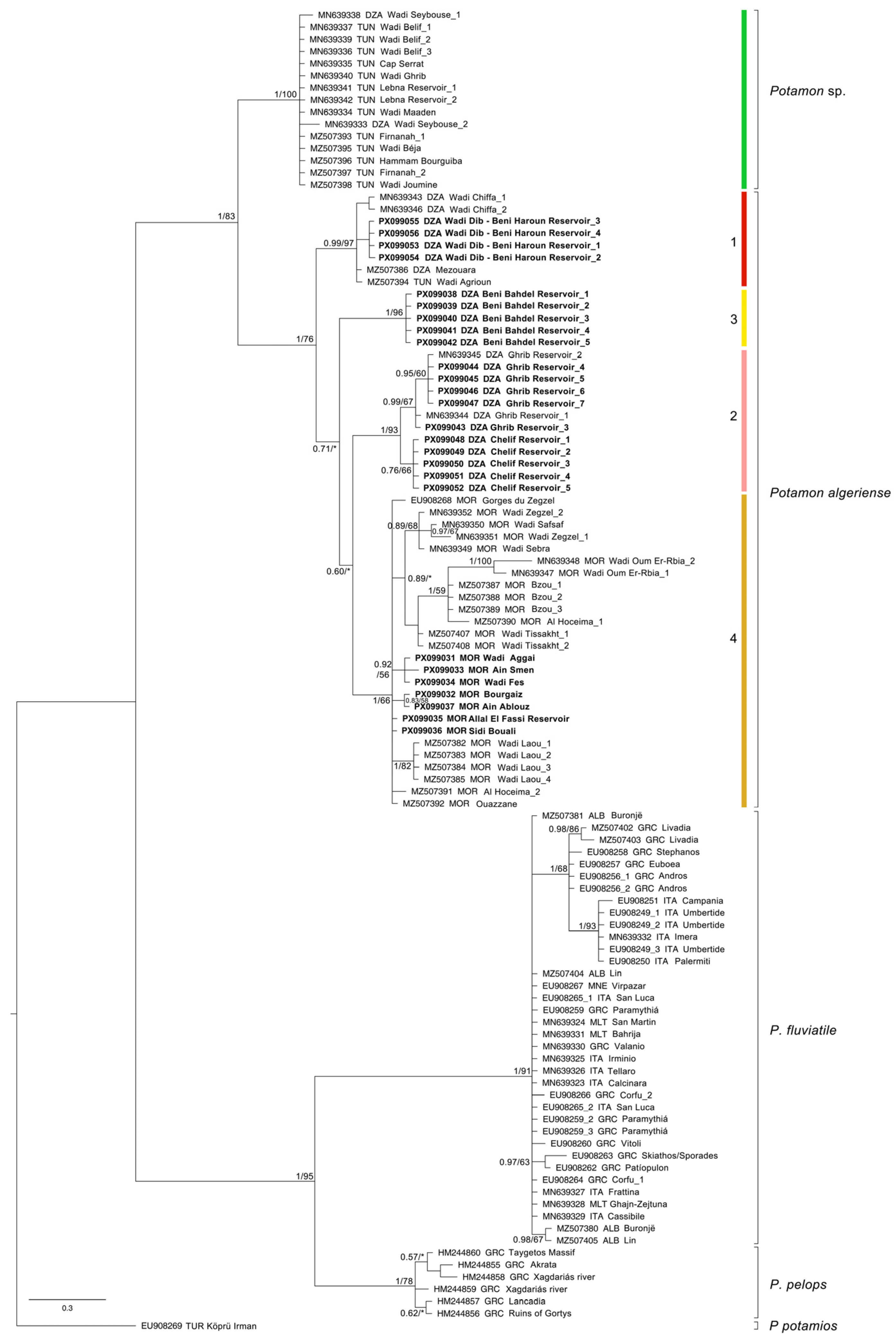Diversity 17 00562 g002 Diversity 17 00562 g002