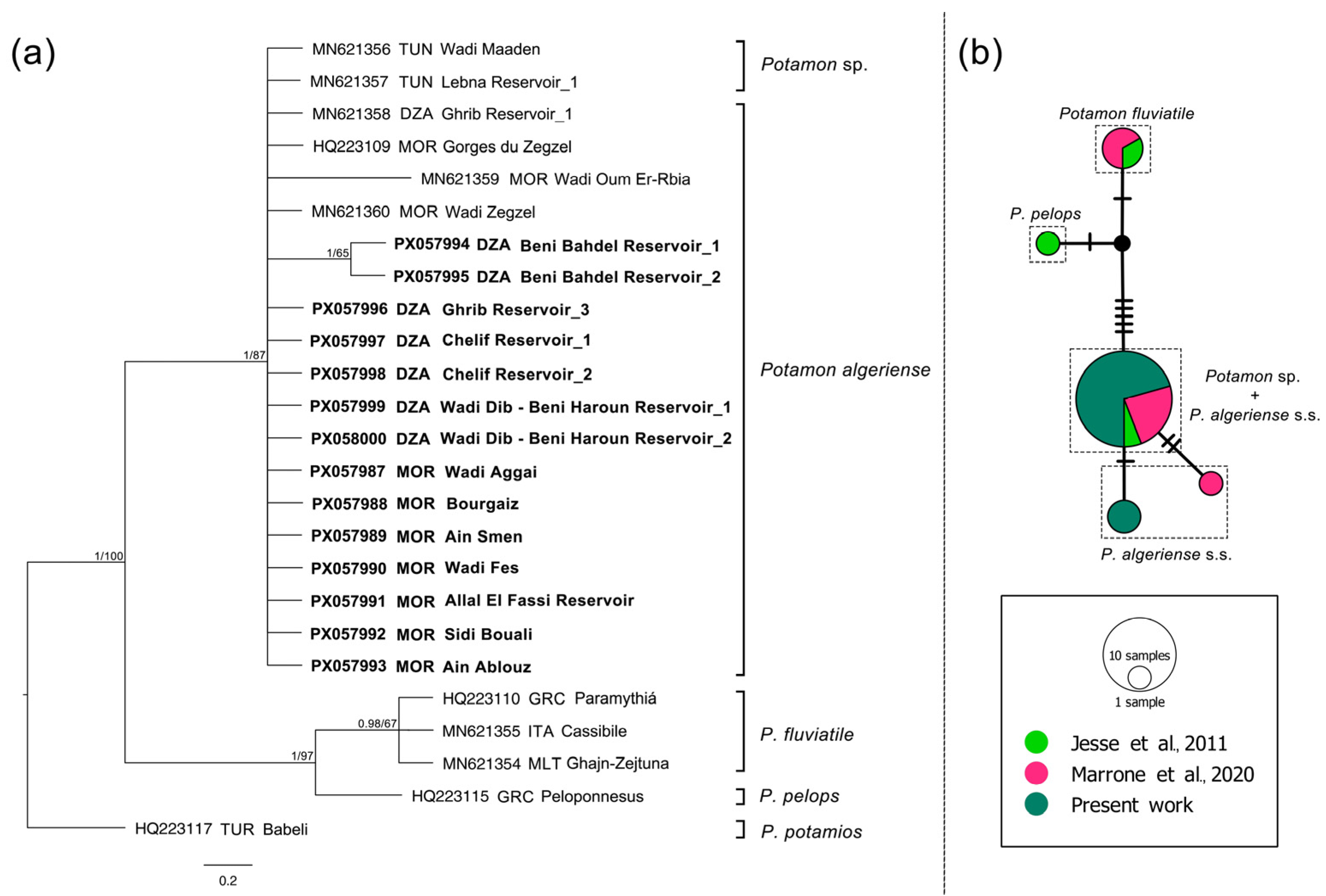 Diversity 17 00562 g004 Diversity 17 00562 g004