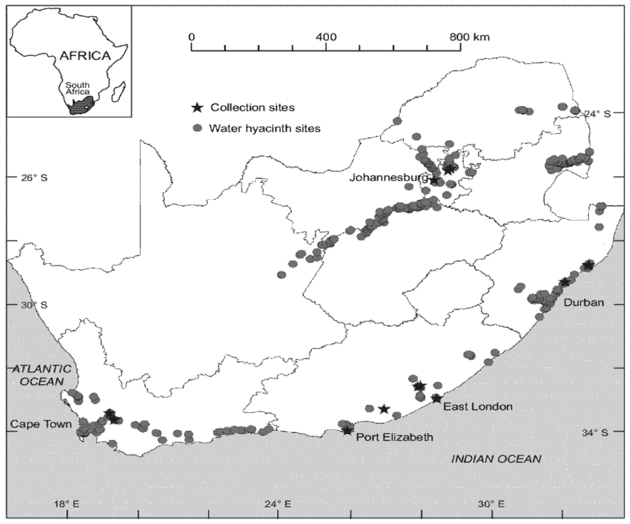 Diversity 17 00564 g003 Diversity 17 00564 g003