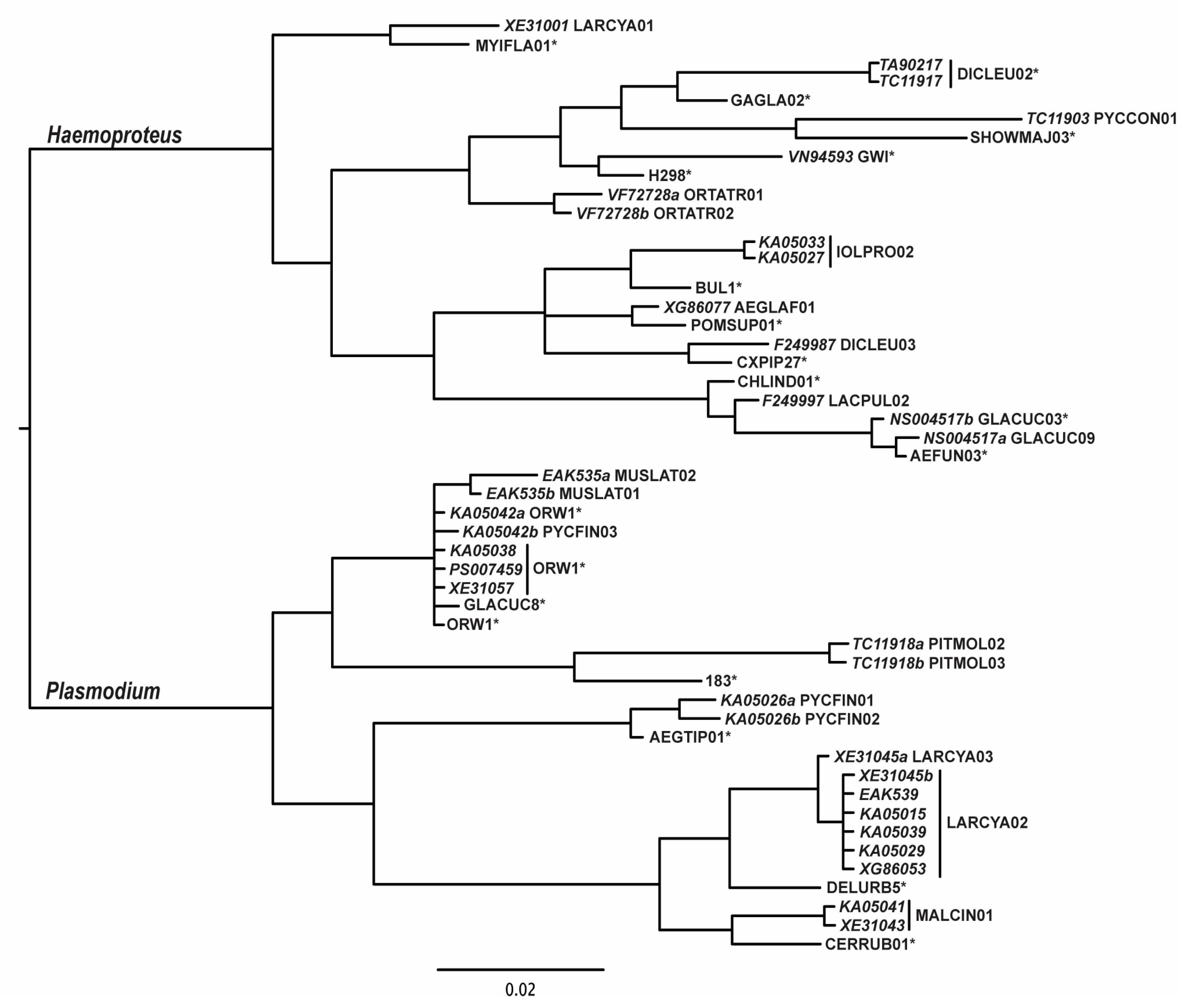 Diversity 17 00568 g001 Diversity 17 00568 g001