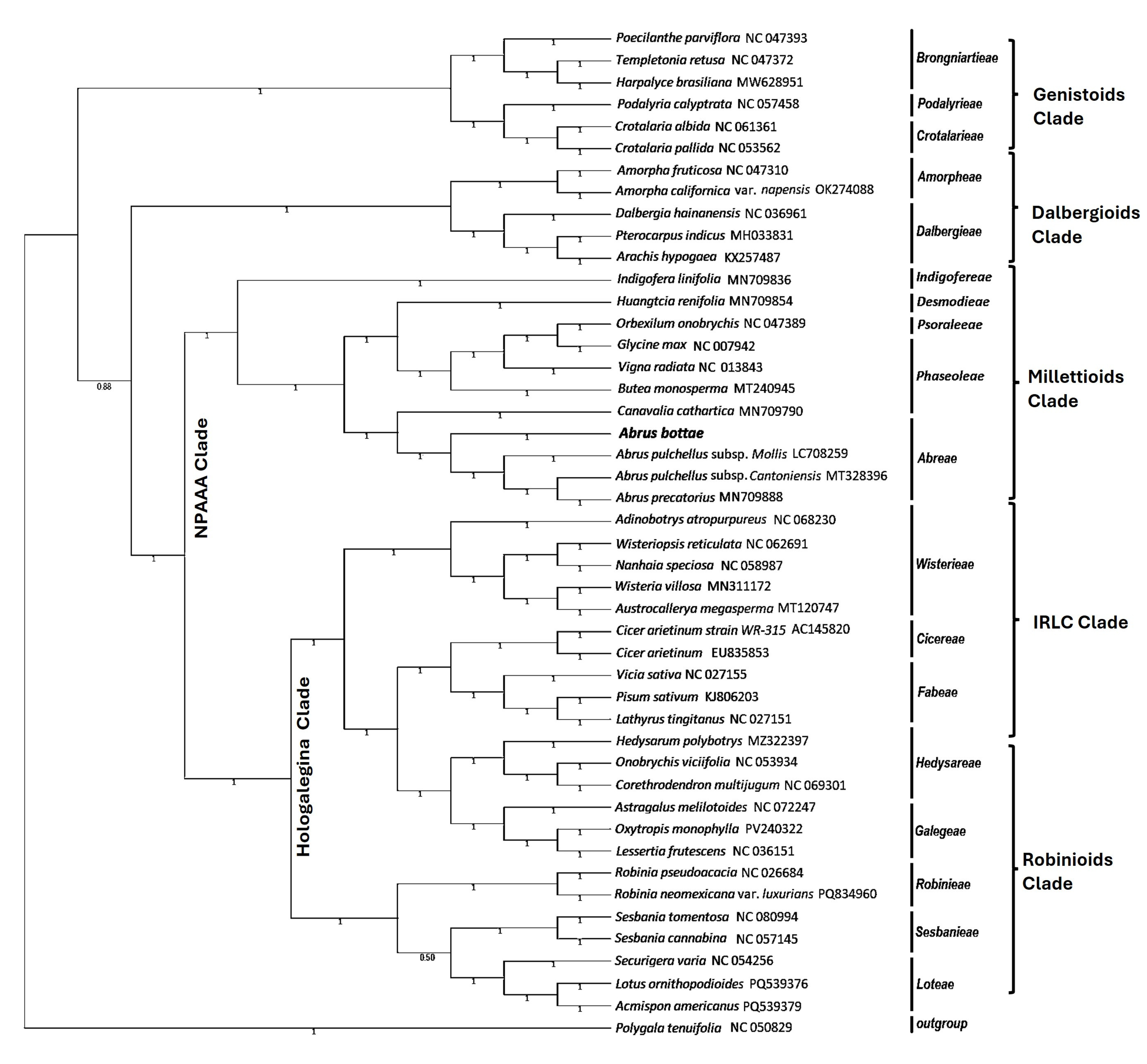Diversity 17 00571 g008 Diversity 17 00571 g008