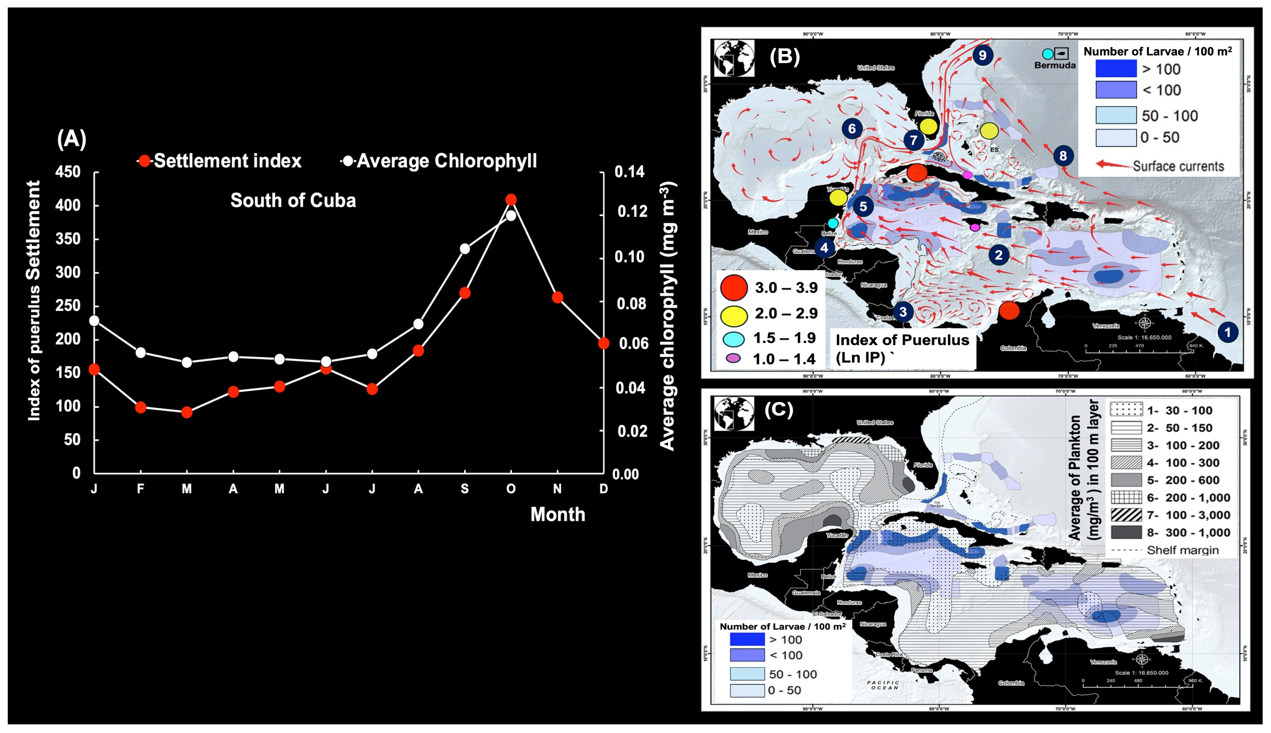 Diversity 17 00572 g022 Diversity 17 00572 g022