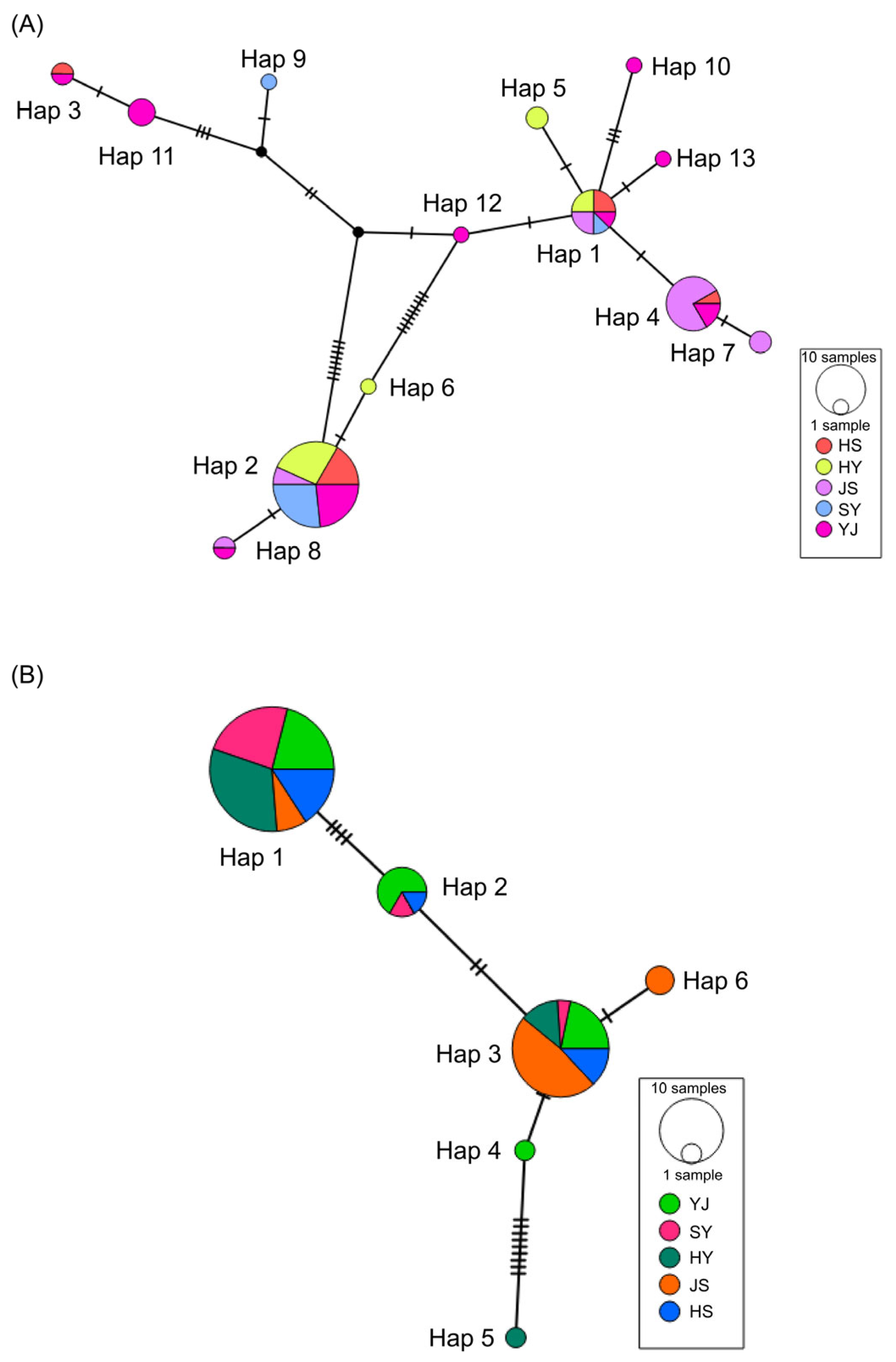 Diversity 17 00575 g003