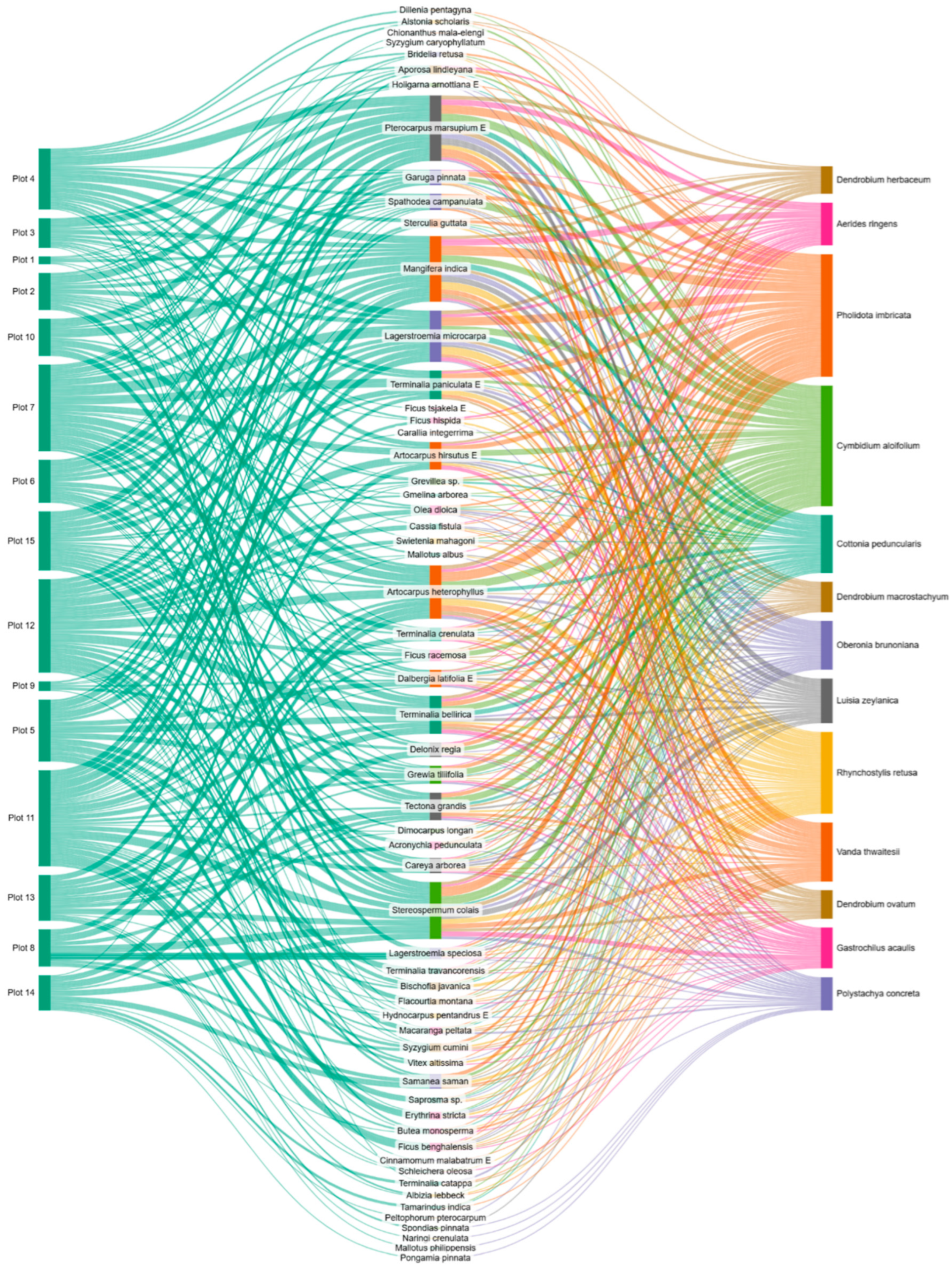 Diversity 17 00580 g004