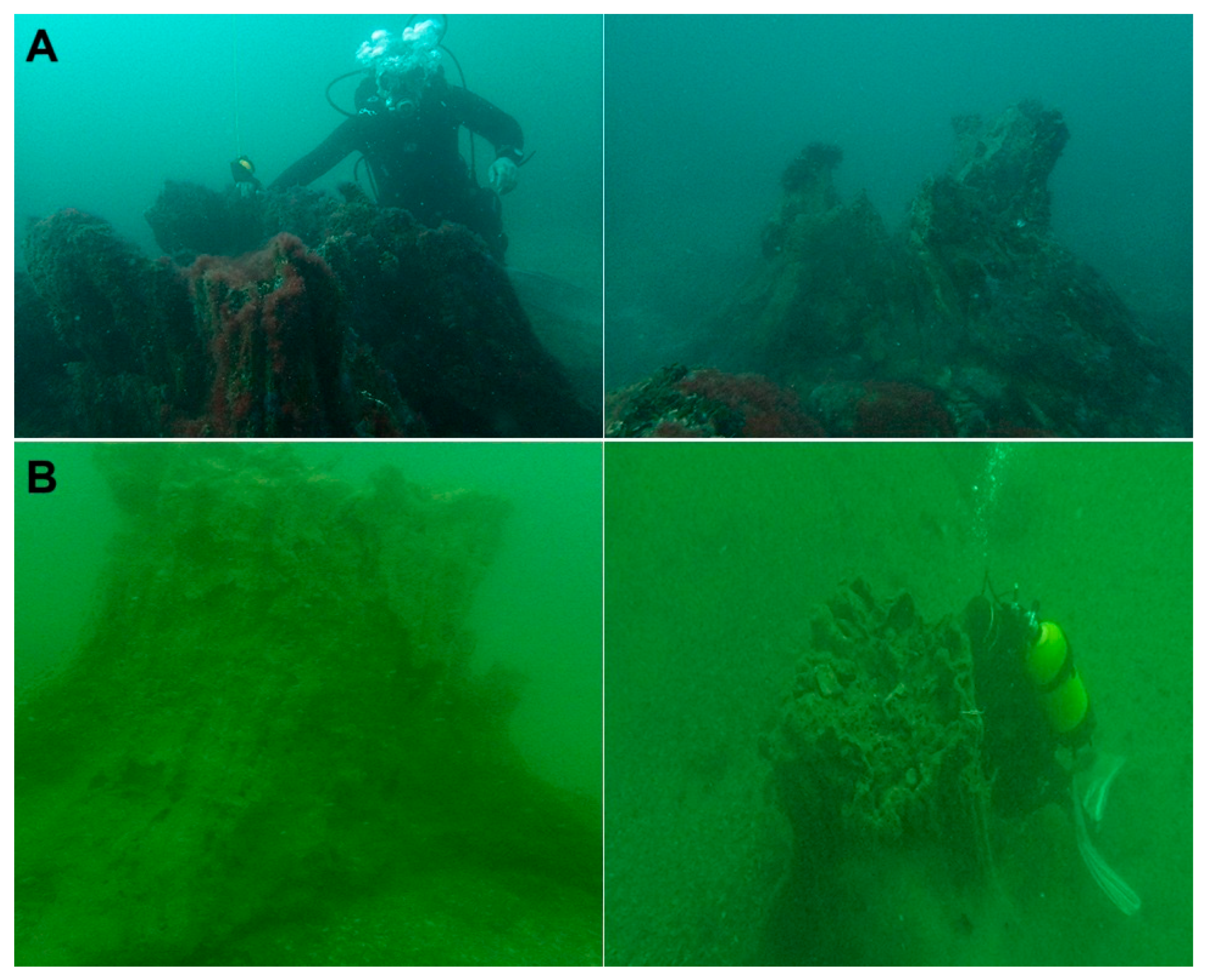 Diversity 17 00583 g002 Diversity 17 00583 g002