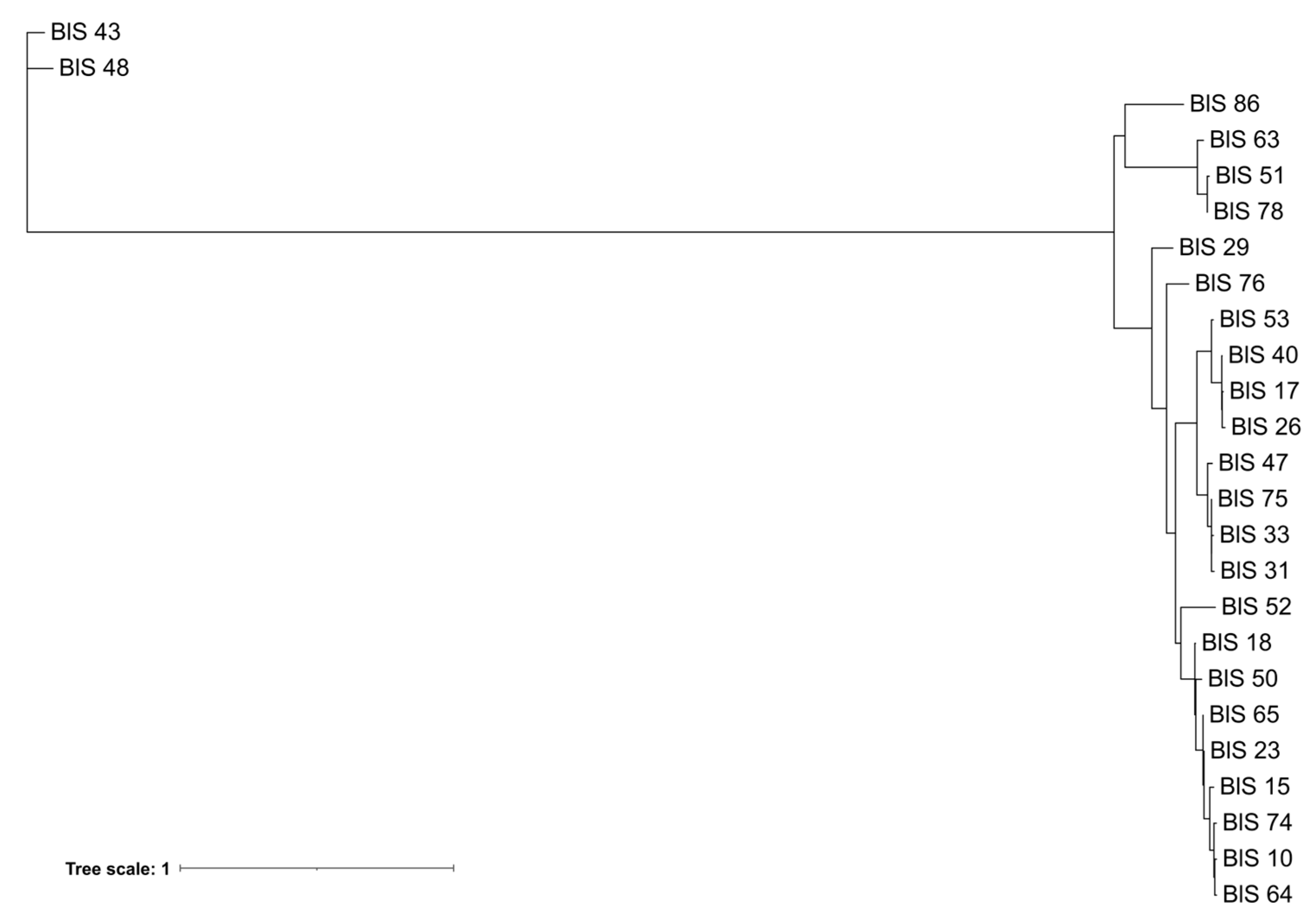 Diversity 17 00583 g005 Diversity 17 00583 g005