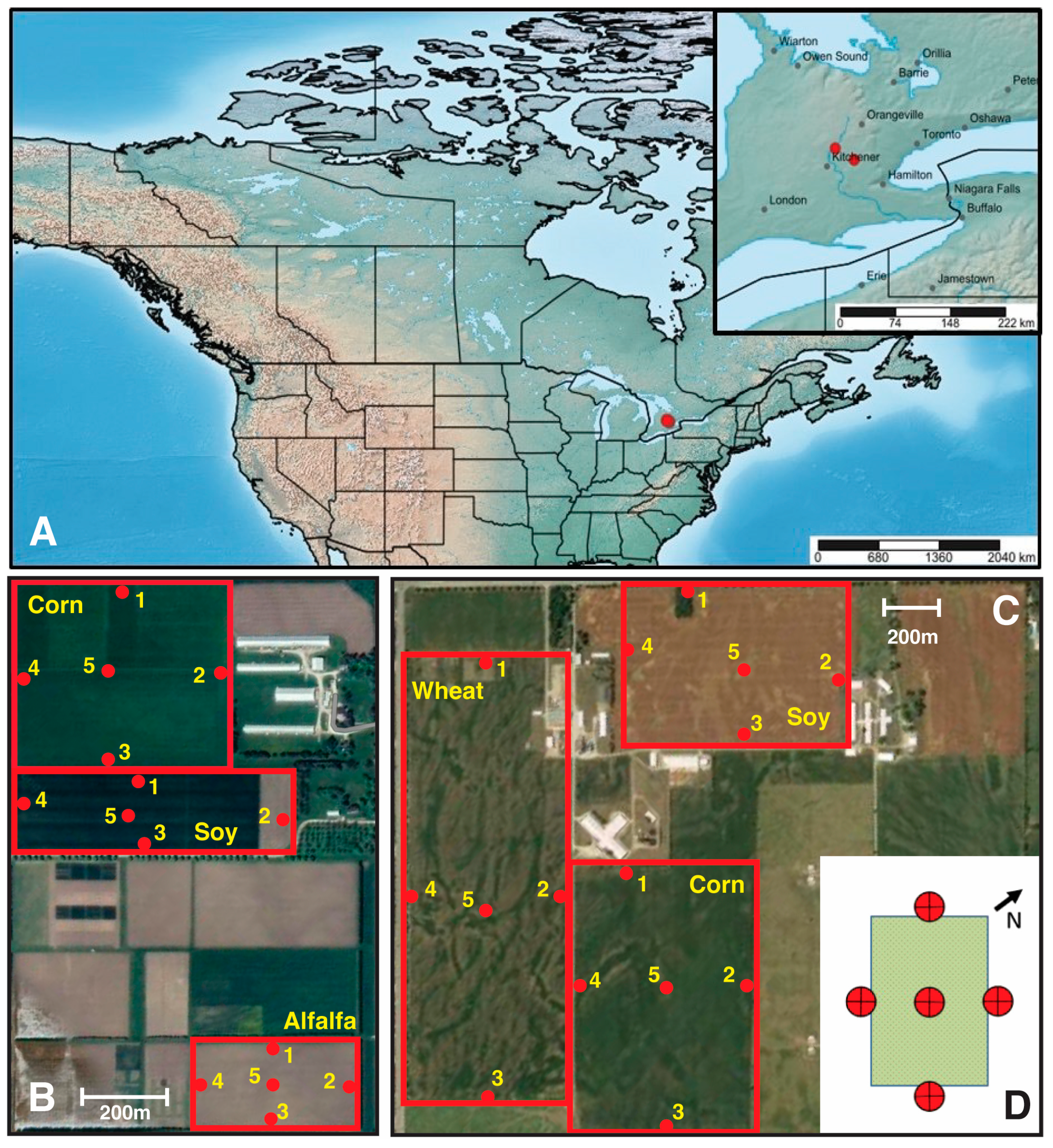 Diversity 17 00585 g001