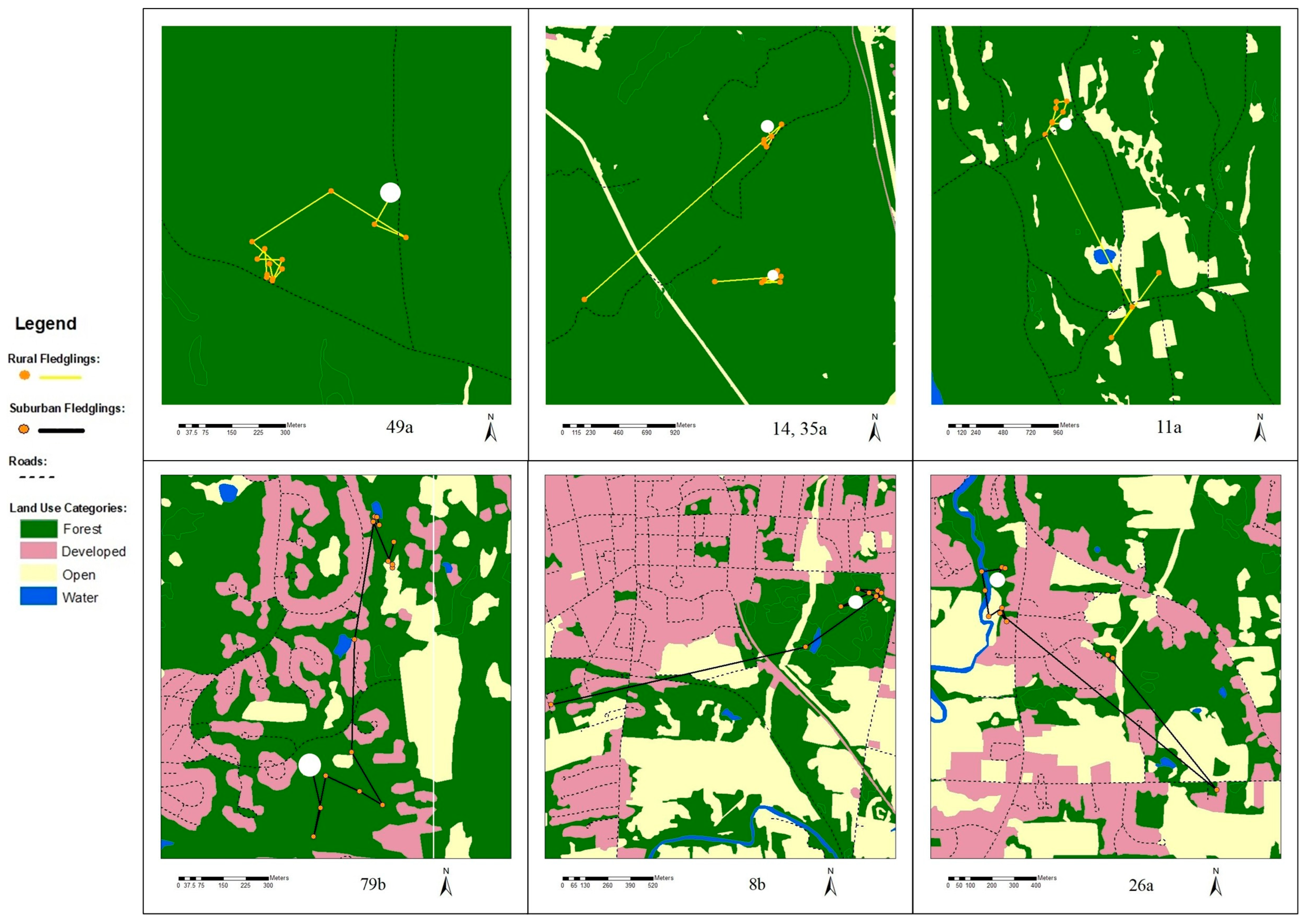 Diversity 17 00589 g005
