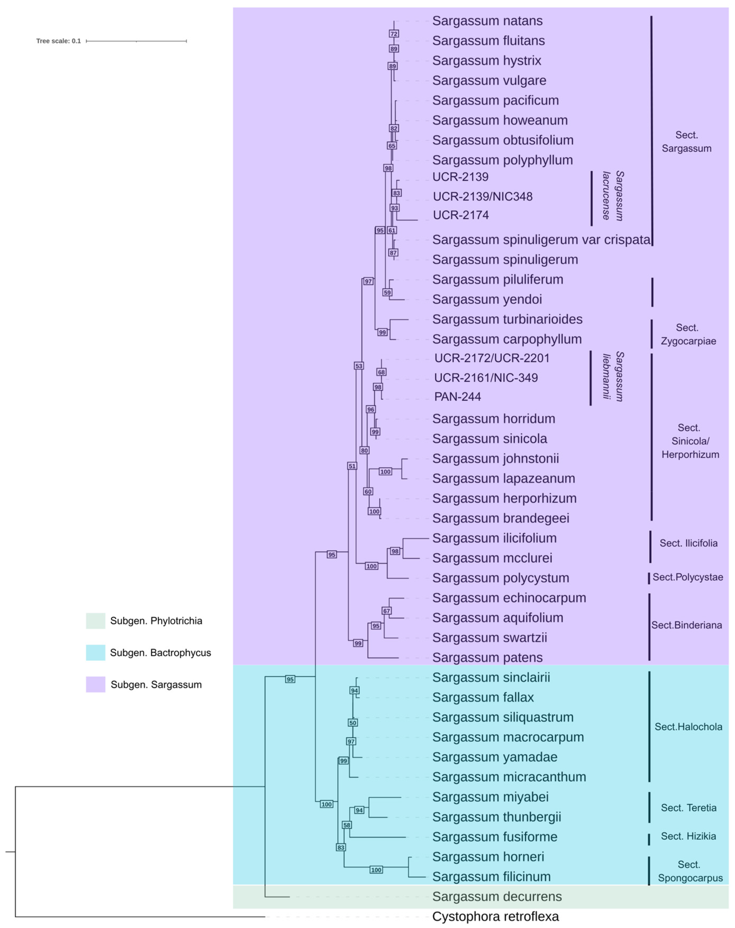 Diversity 17 00592 g007