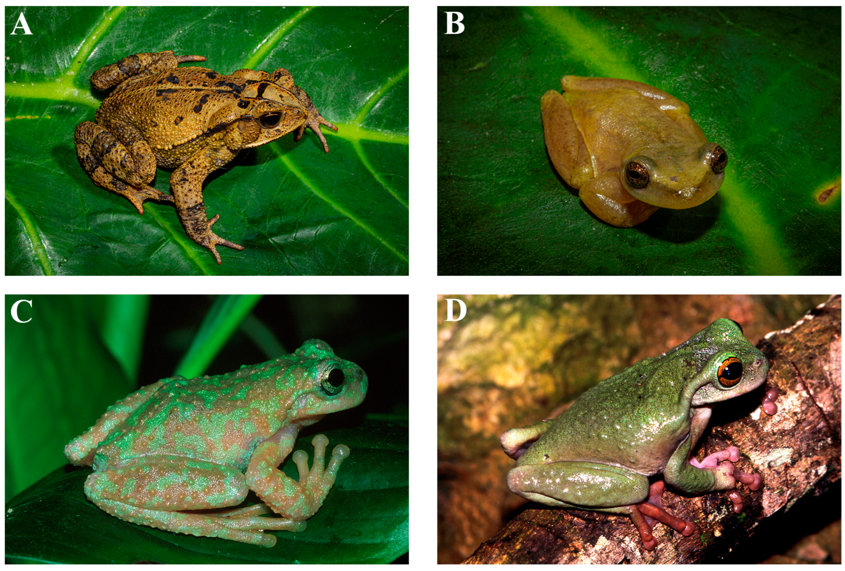 Diversity 17 00593 g004a Diversity 17 00593 g004a