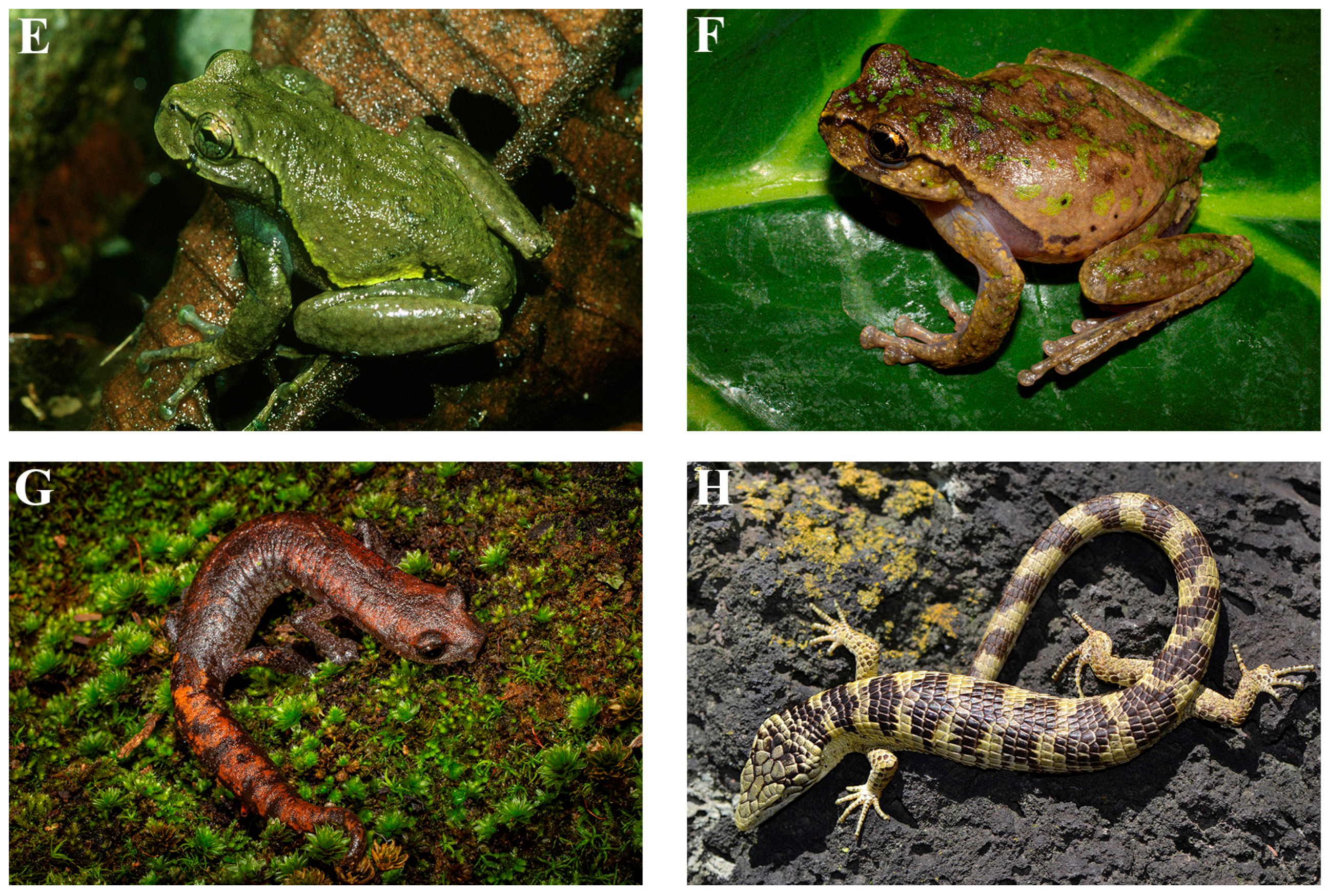 Diversity 17 00593 g004b Diversity 17 00593 g004b