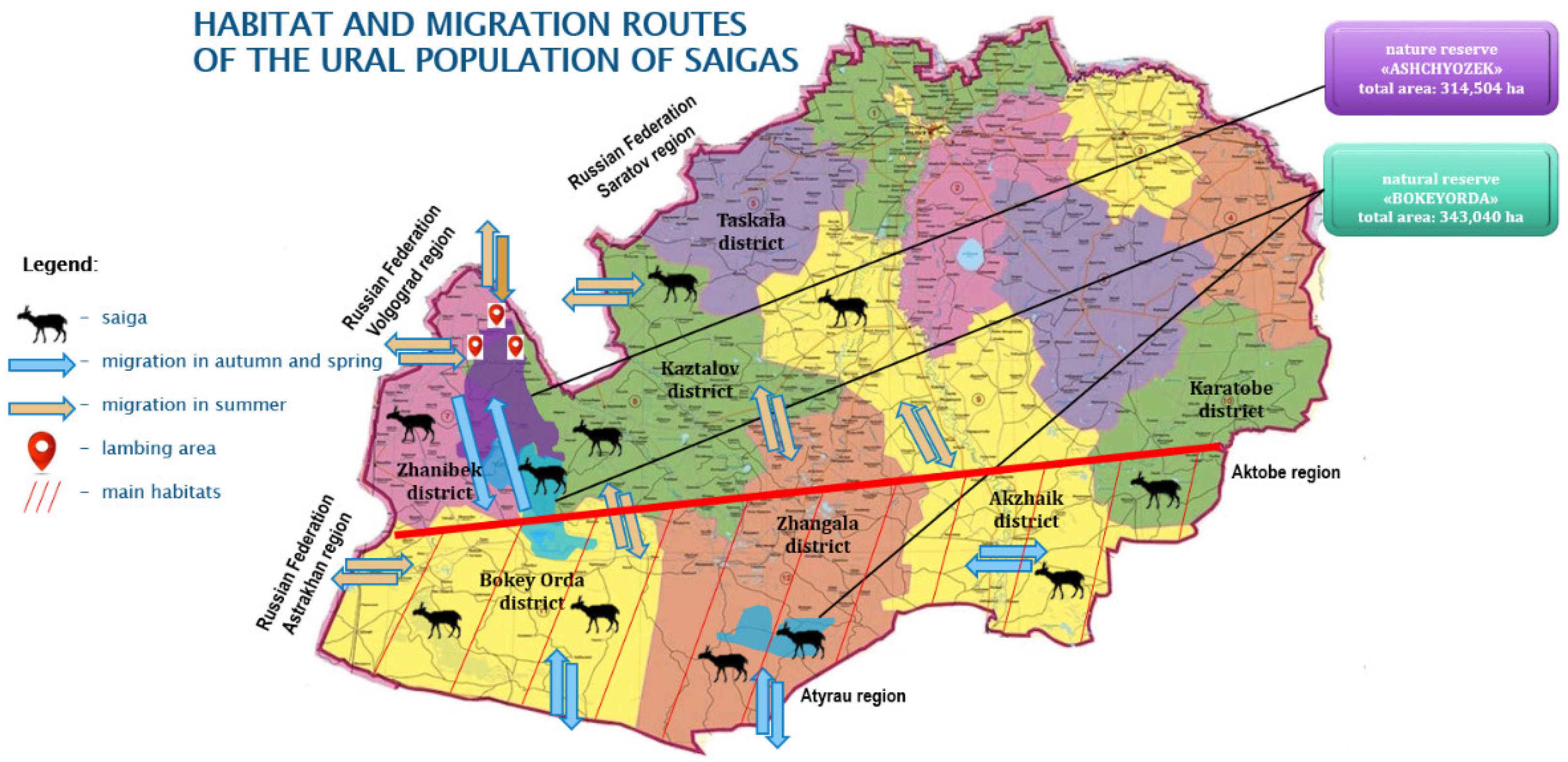 Diversity 17 00595 g001