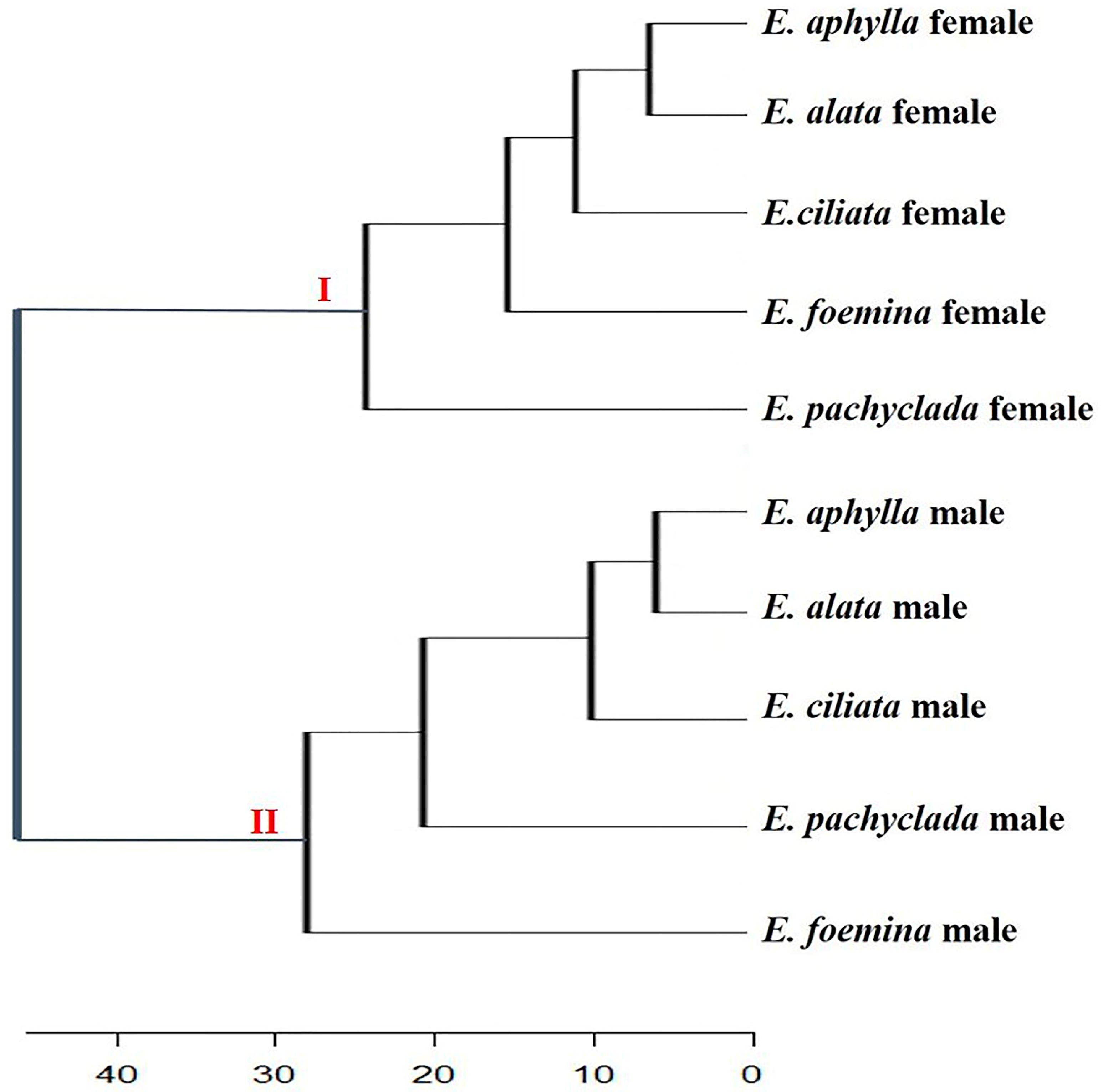 Diversity 17 00600 g002 Diversity 17 00600 g002