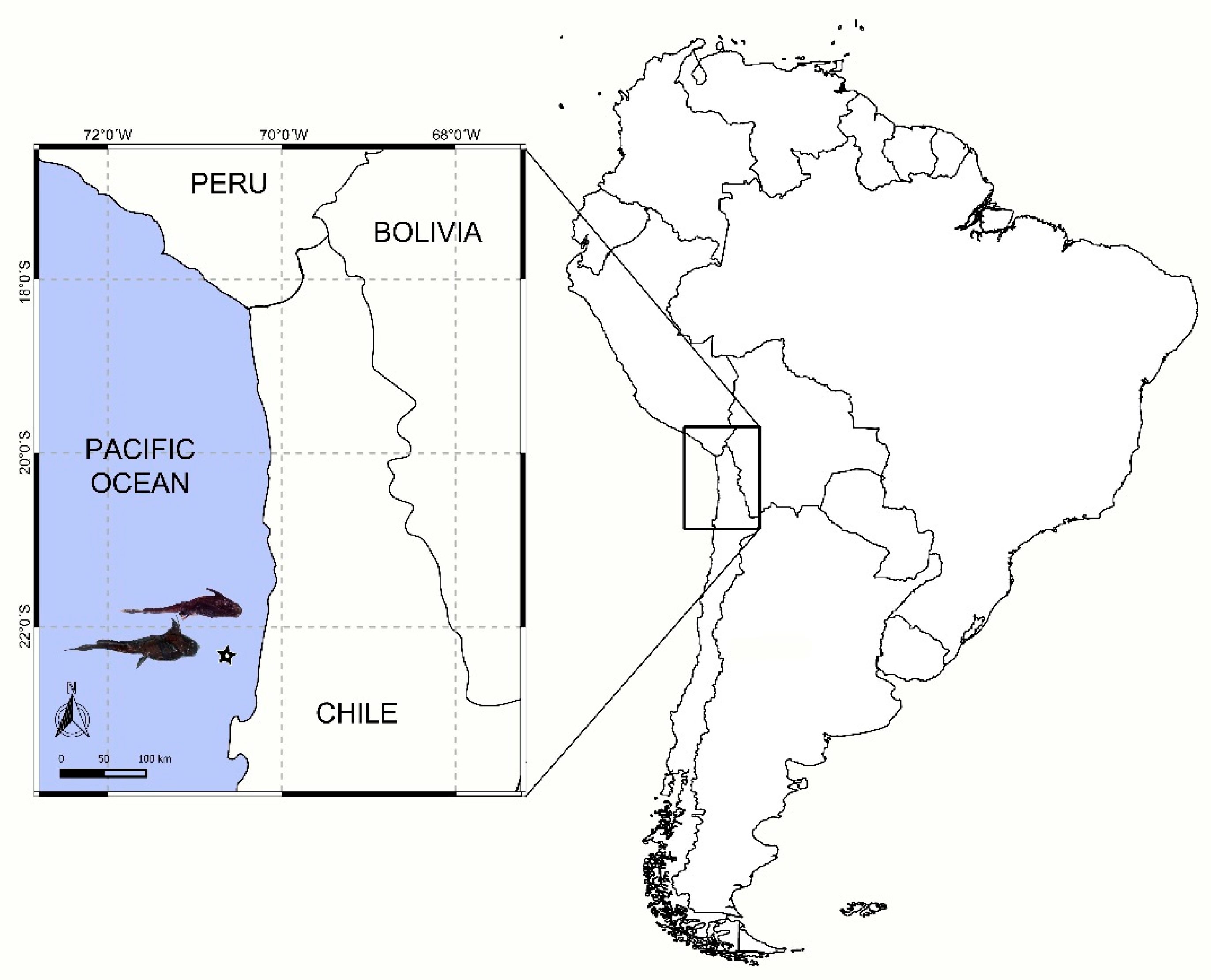 Diversity 17 00601 g001