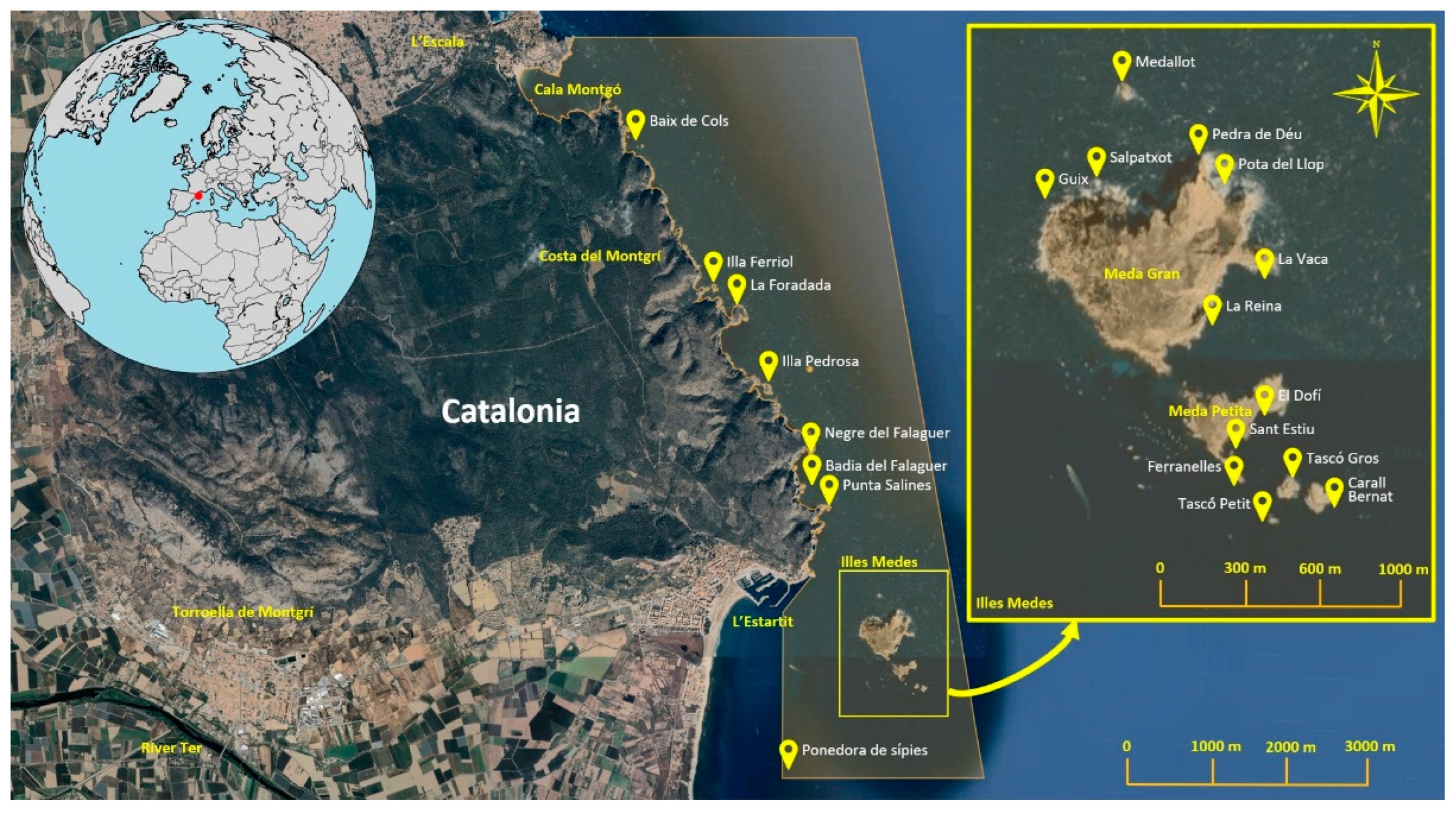 Diversity 17 00606 g002 Diversity 17 00606 g002