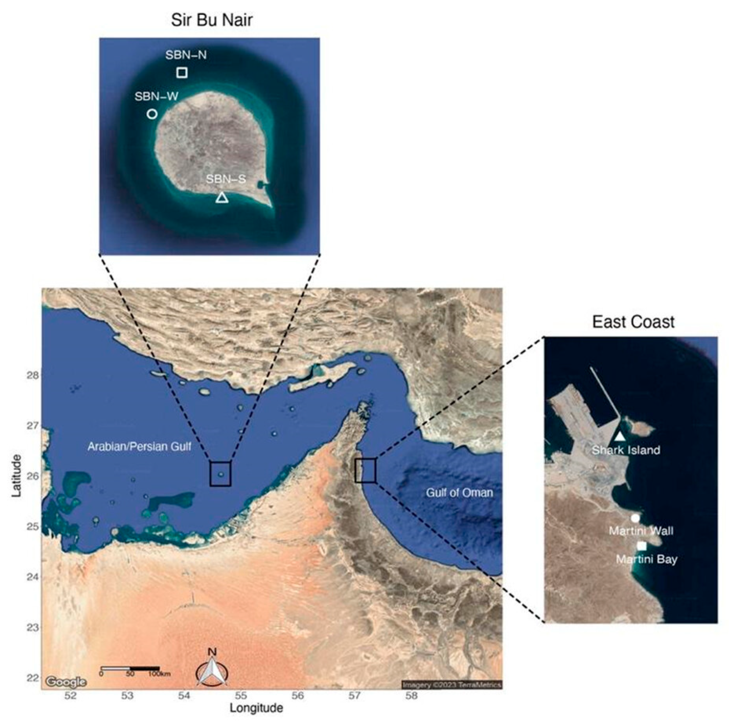 Diversity 17 00610 g001