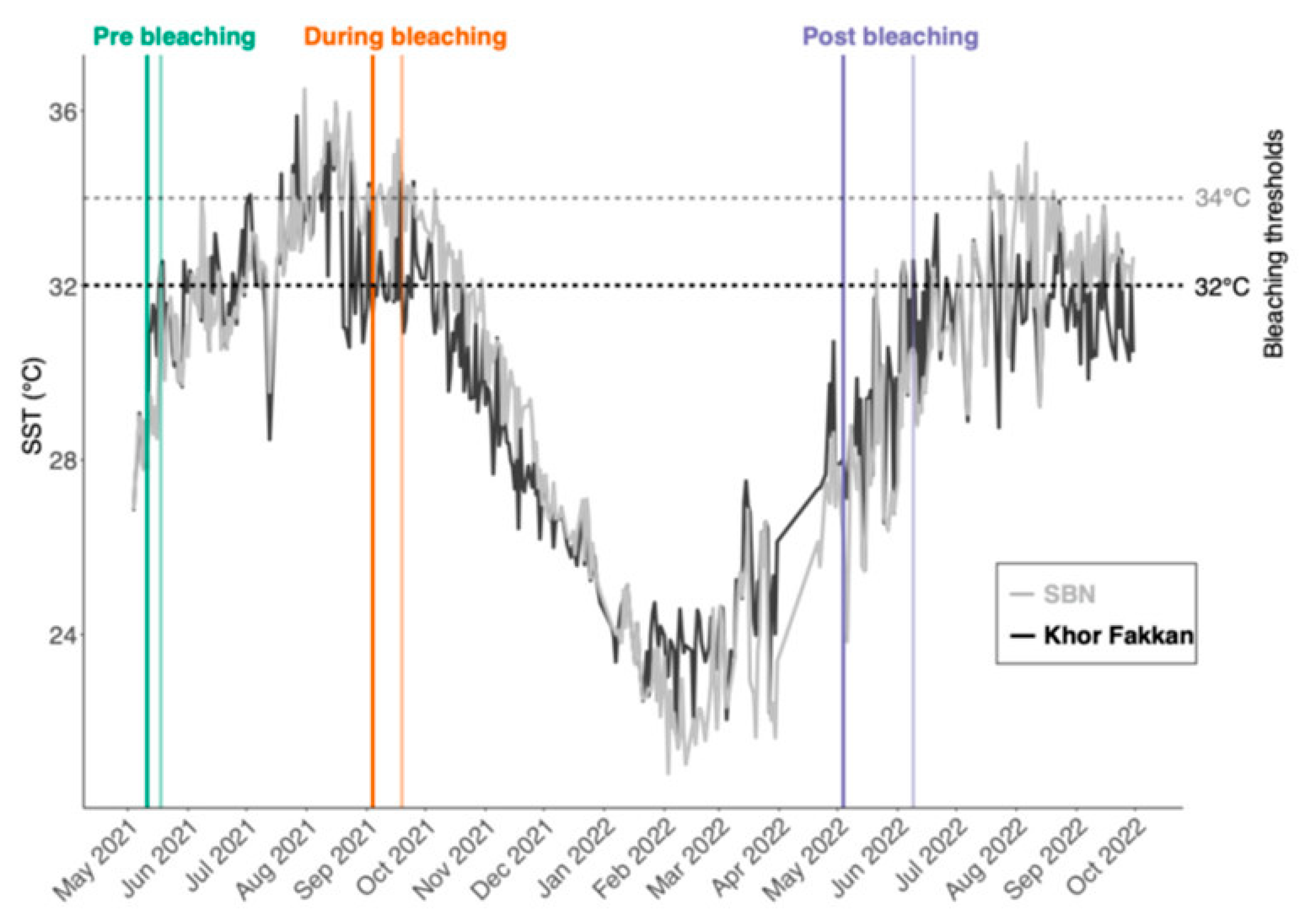 Diversity 17 00610 g002
