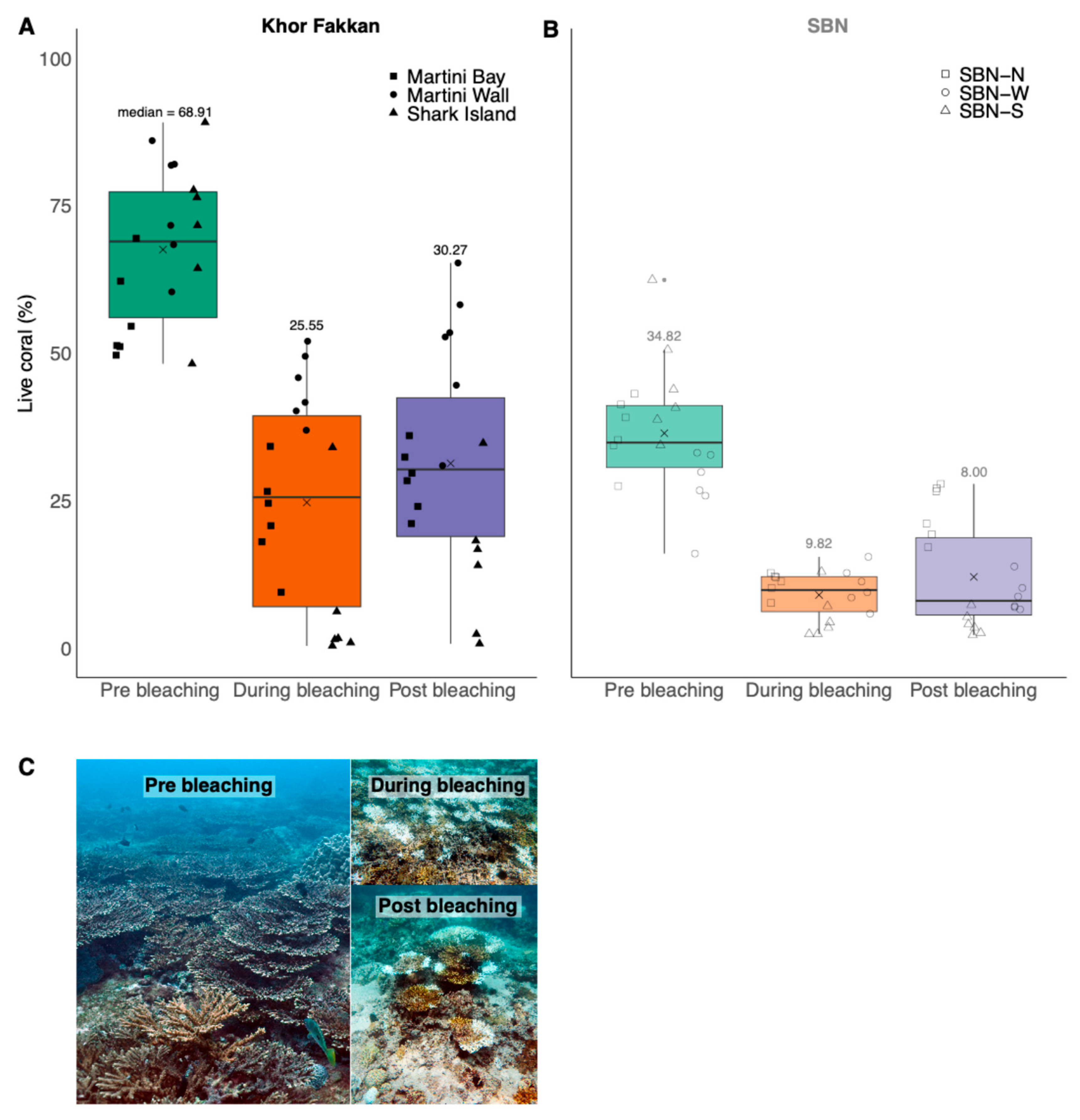 Diversity 17 00610 g003