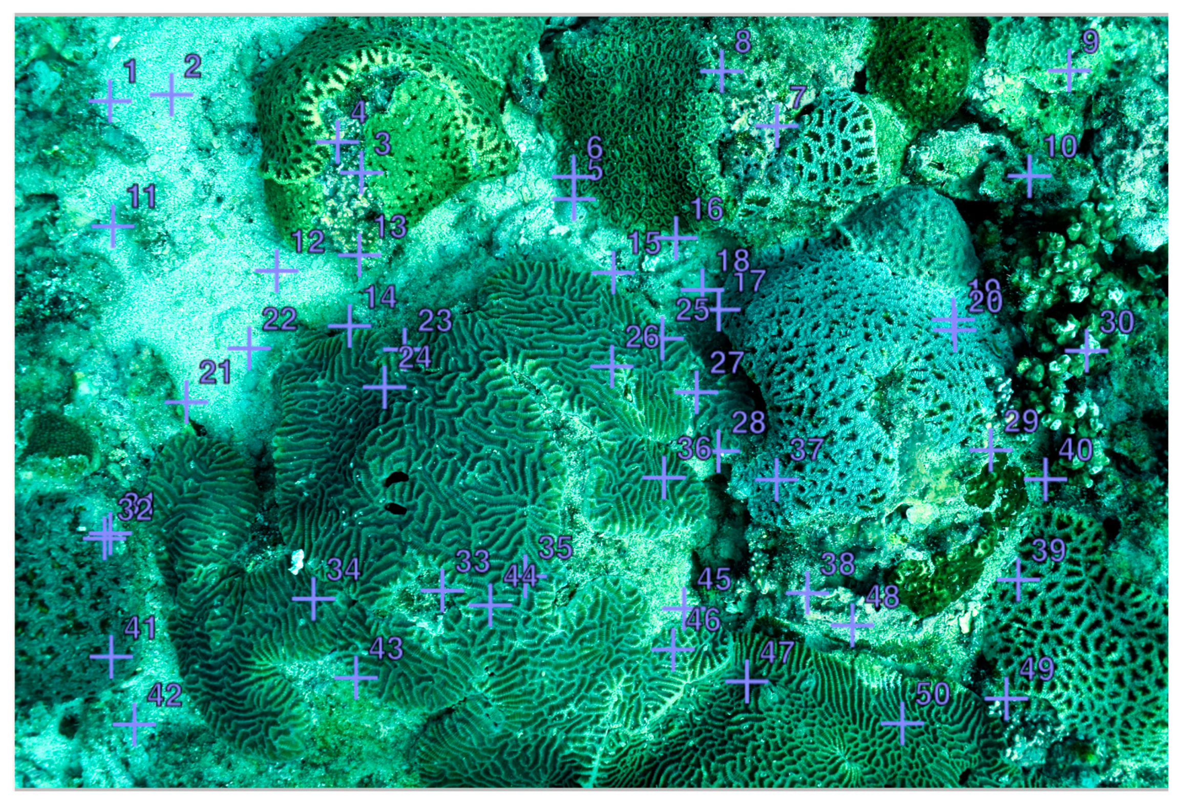 Diversity 17 00610 g0a1