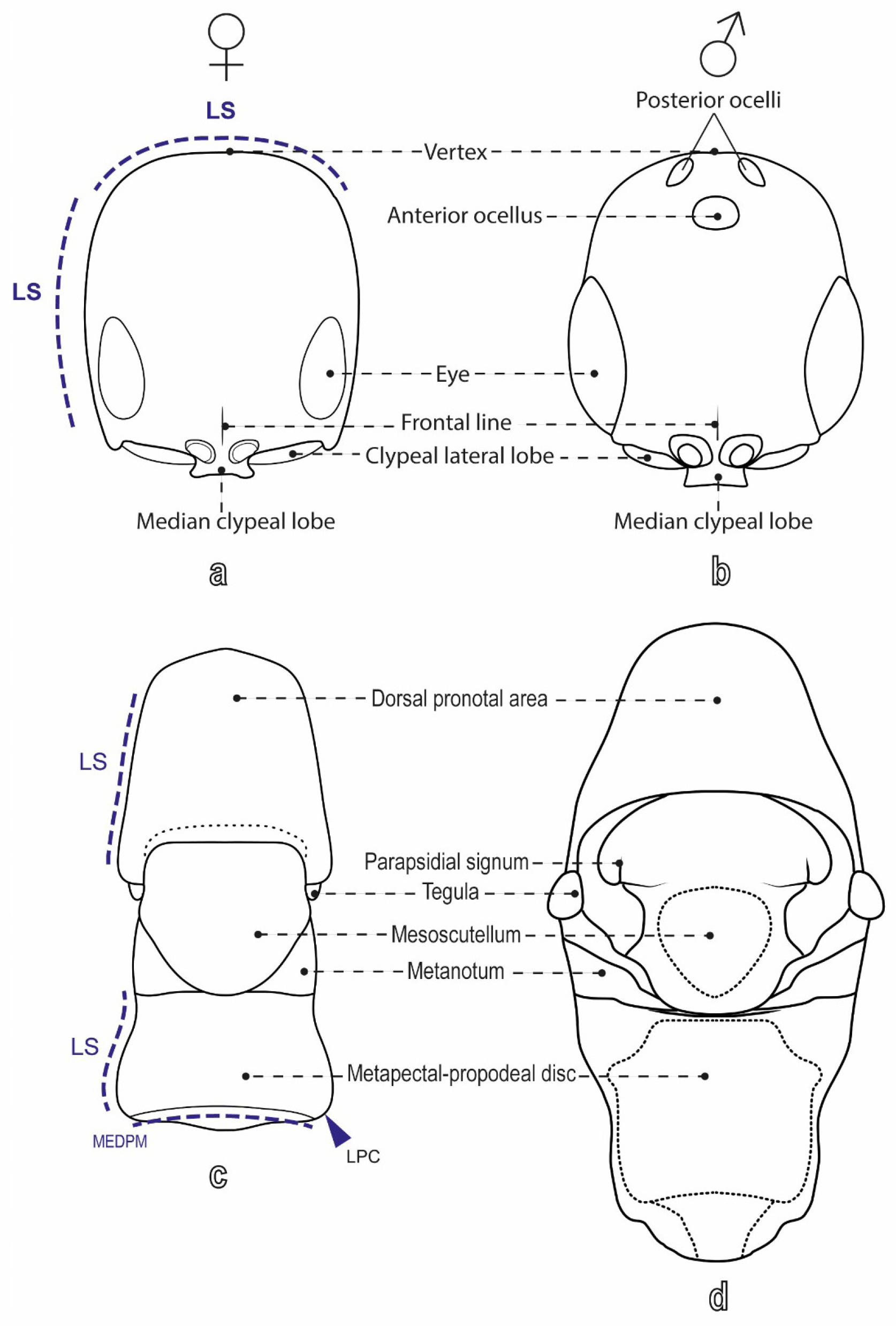 Diversity 17 00611 g001 Diversity 17 00611 g001
